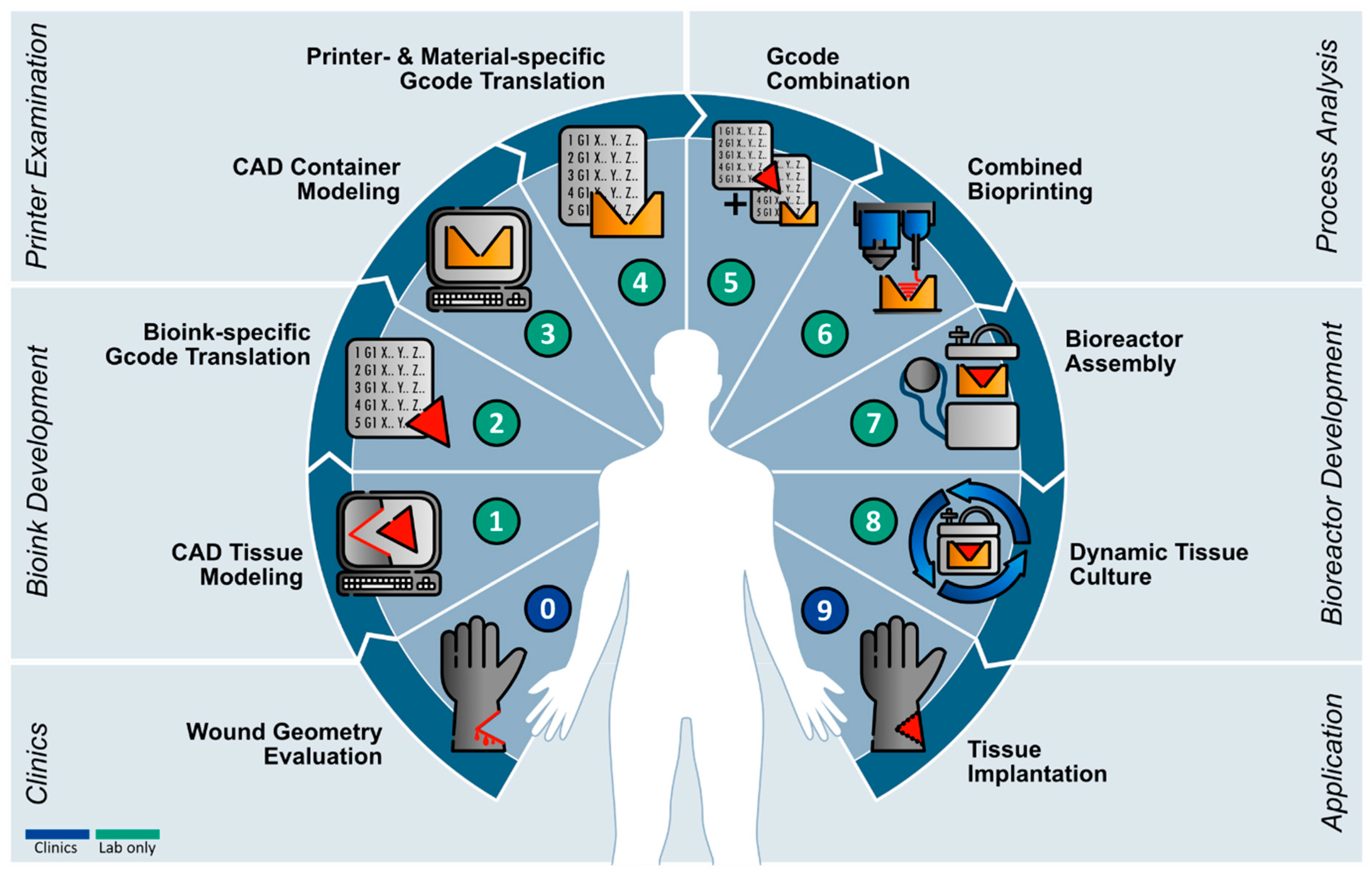 Bioengineering 11 00068 g009