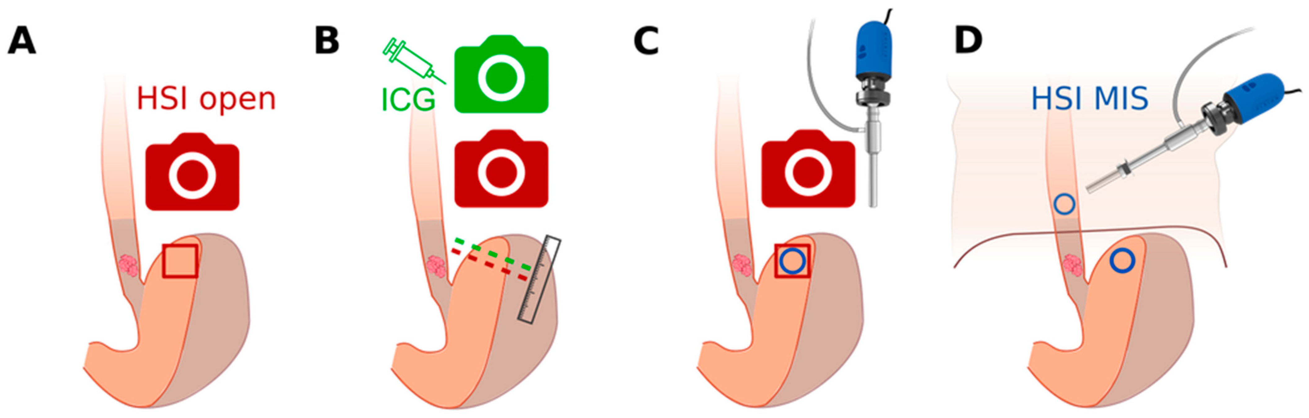 Bioengineering 11 00069 g002