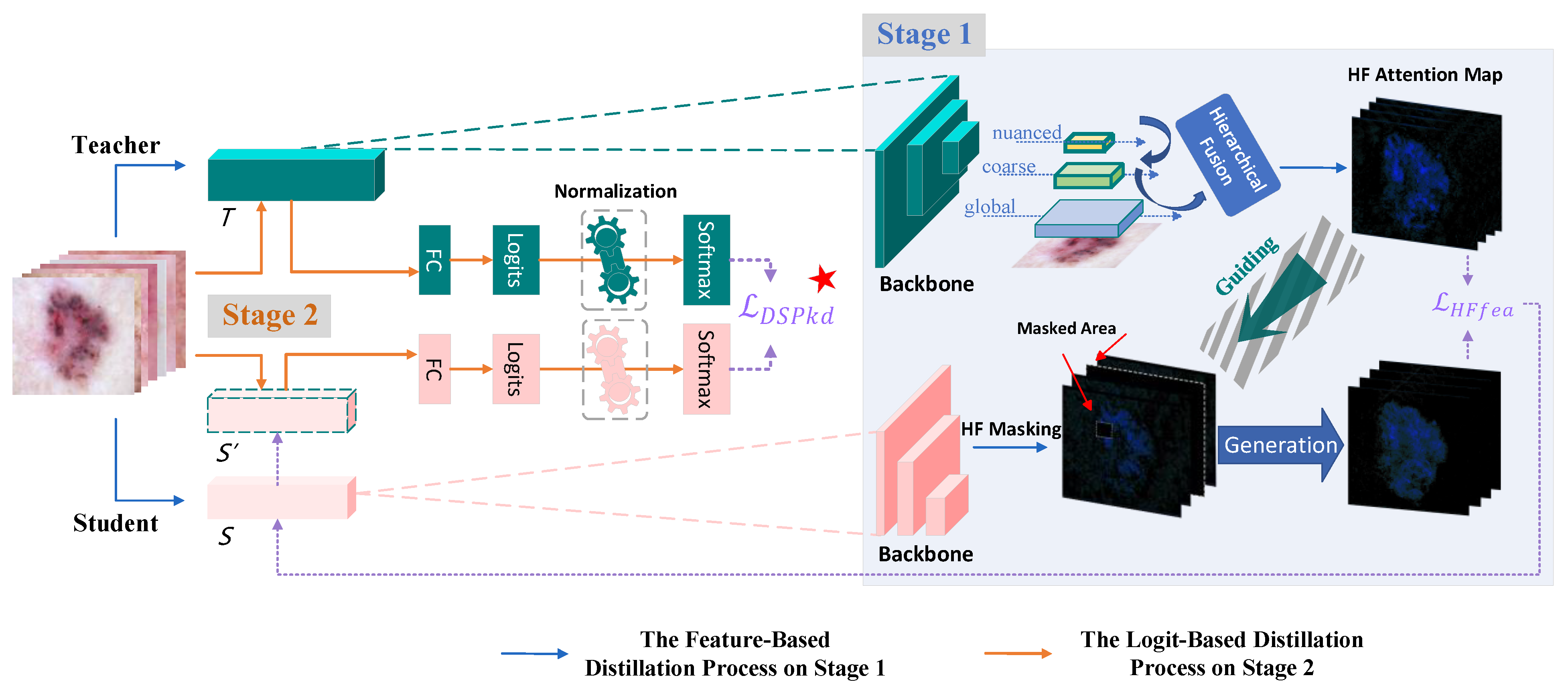 Bioengineering 11 00070 g002