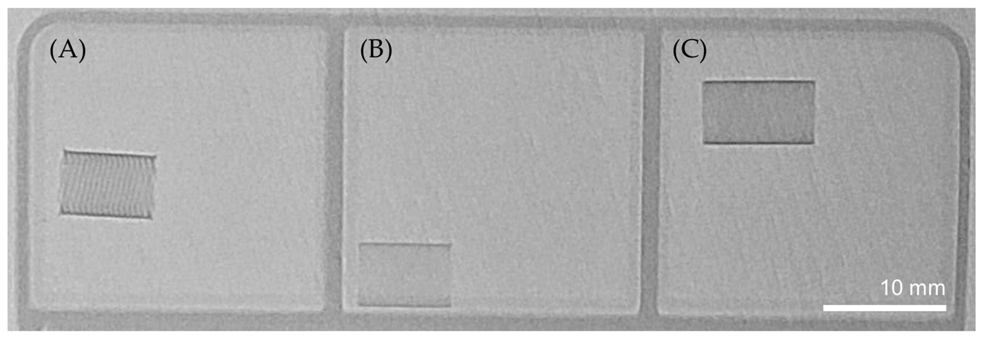 Bioengineering 11 00076 g004