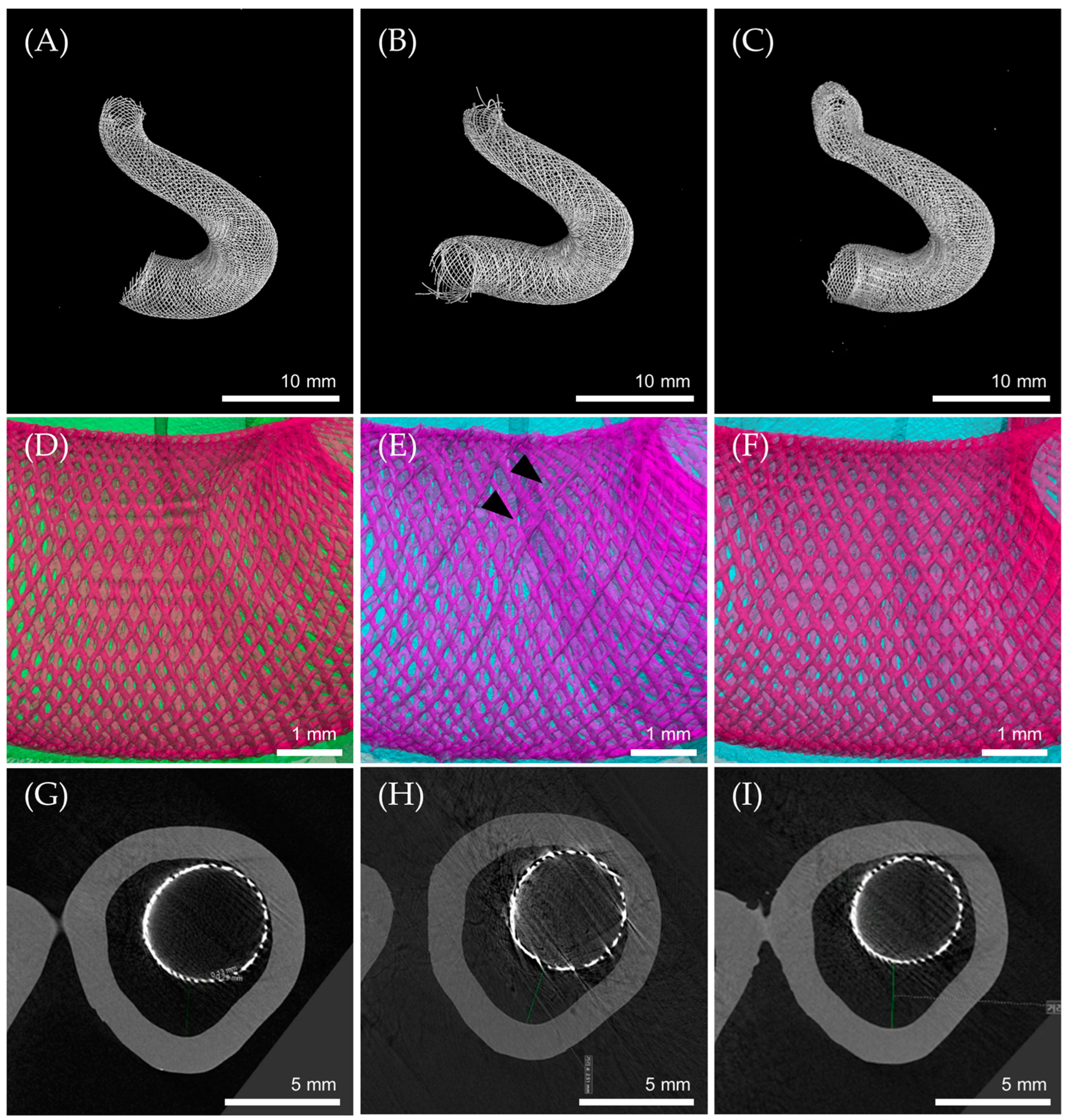 Bioengineering 11 00076 g007