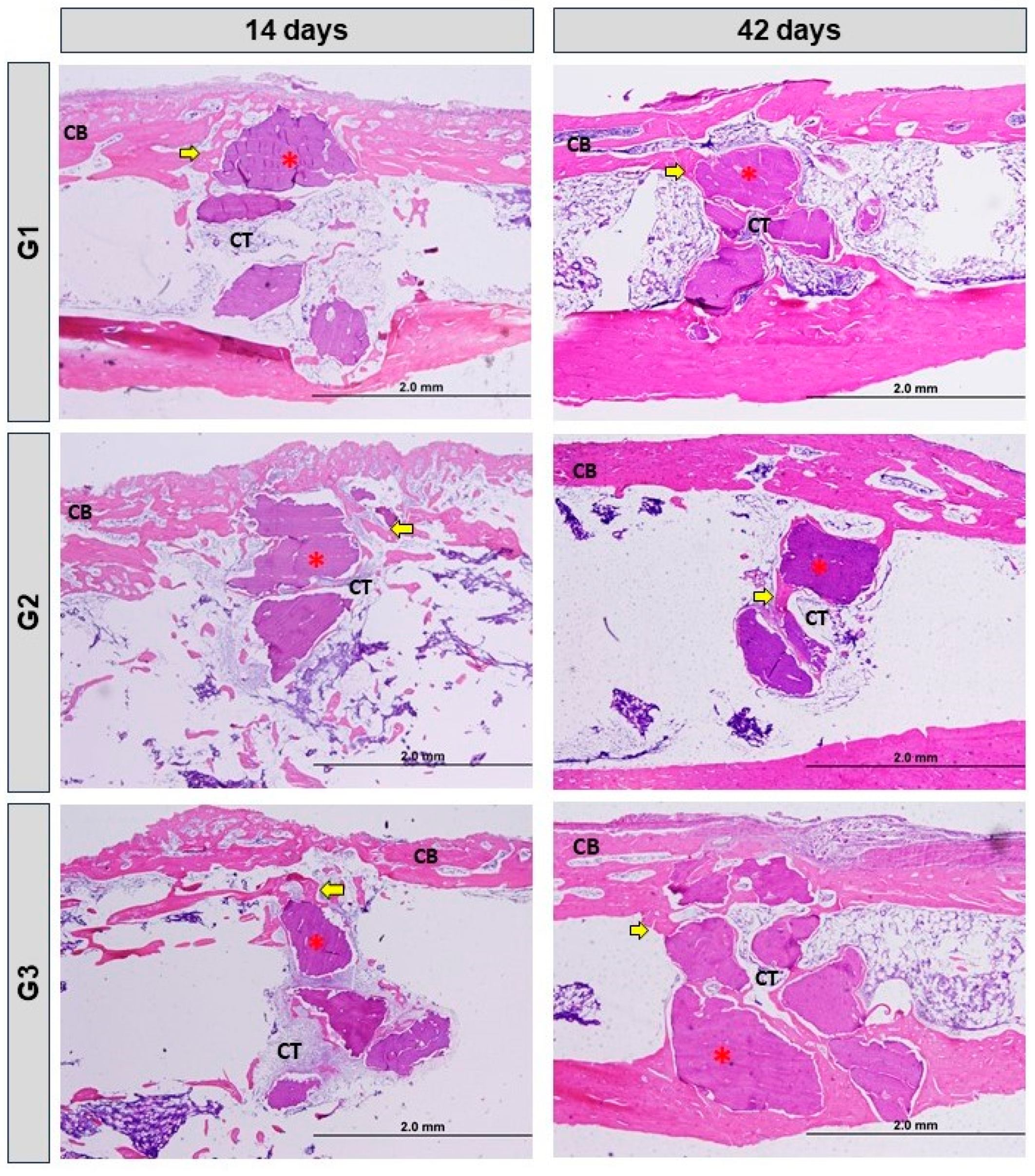 Bioengineering 11 00078 g003