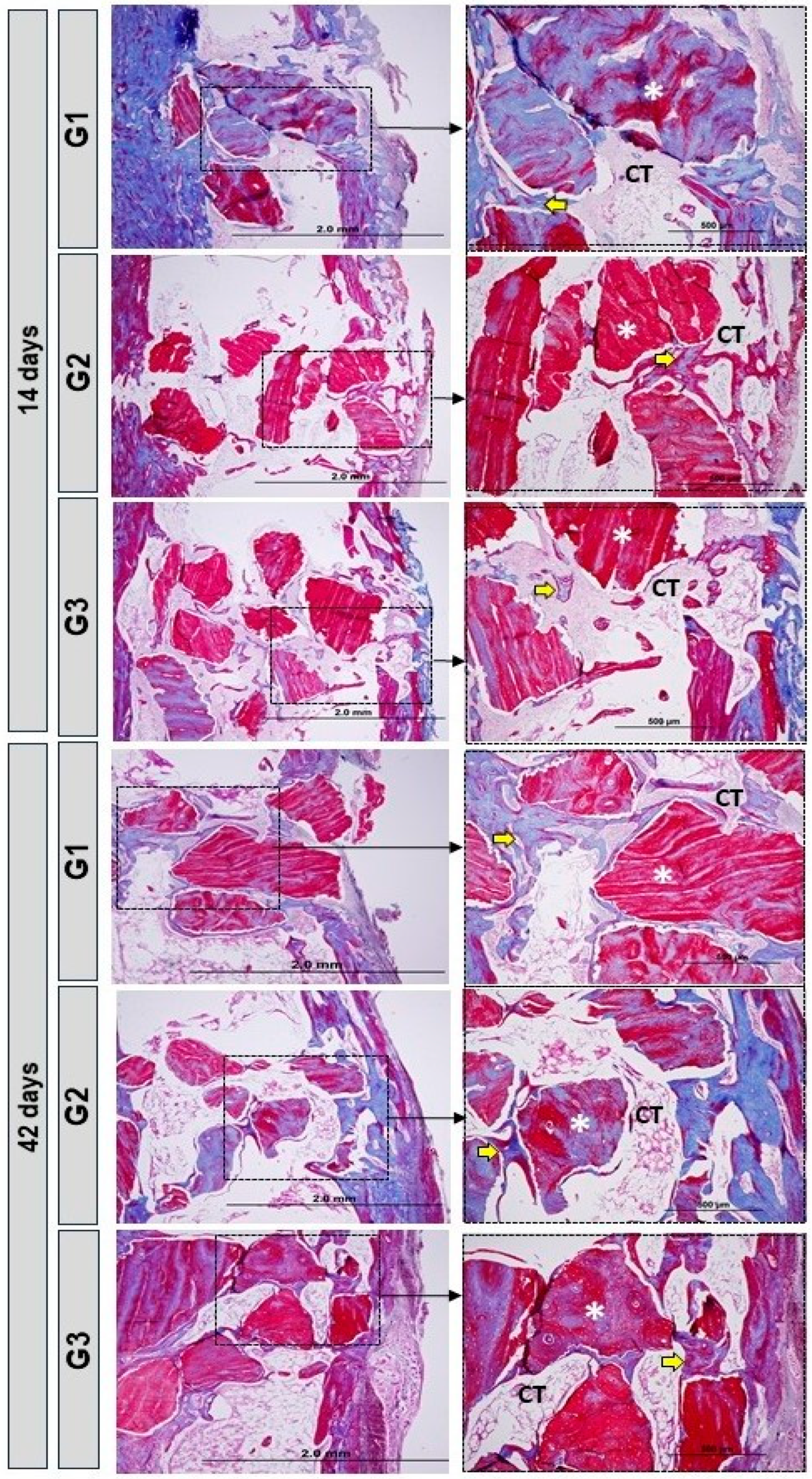 Bioengineering 11 00078 g004