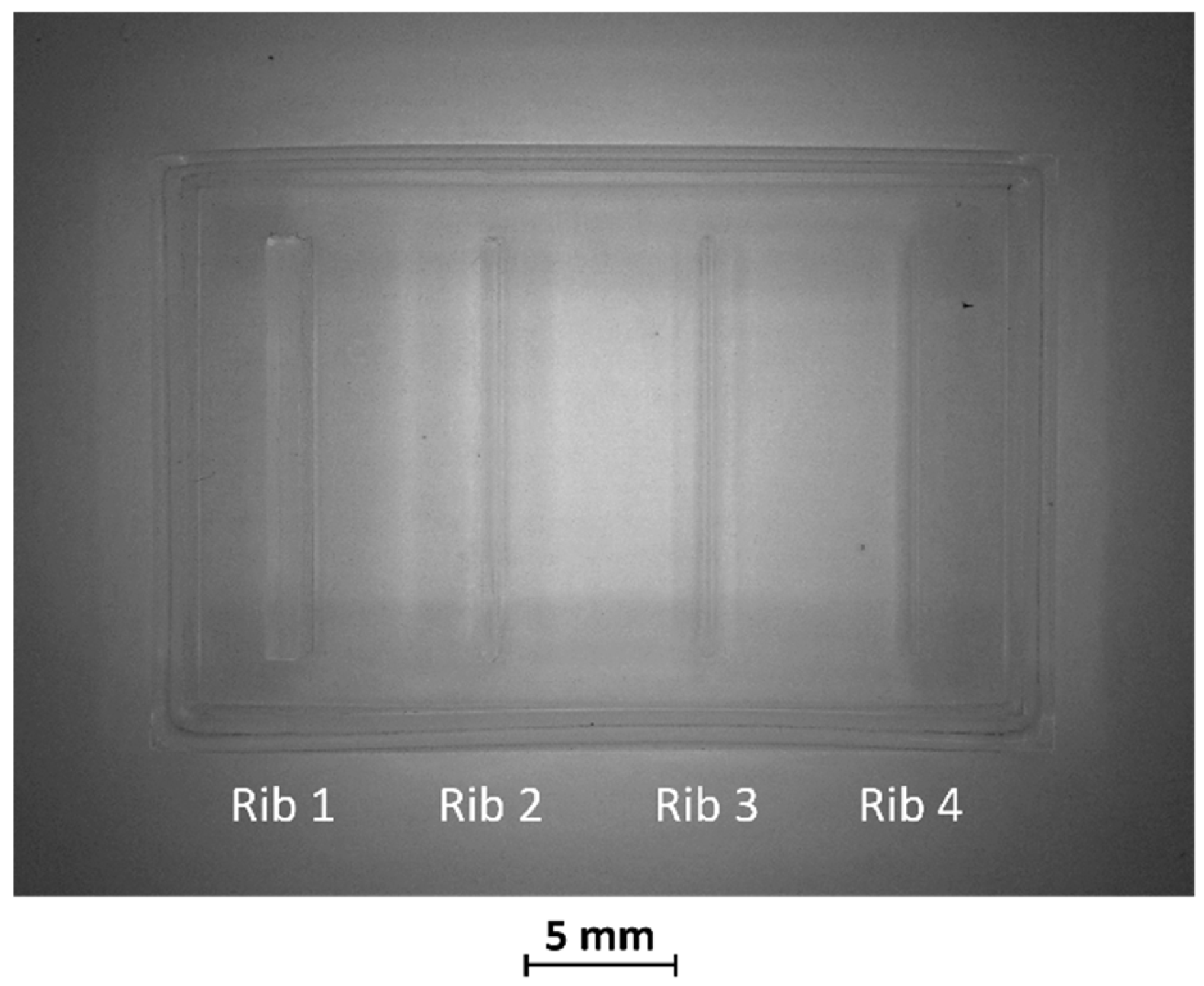 Bioengineering 11 00080 g003