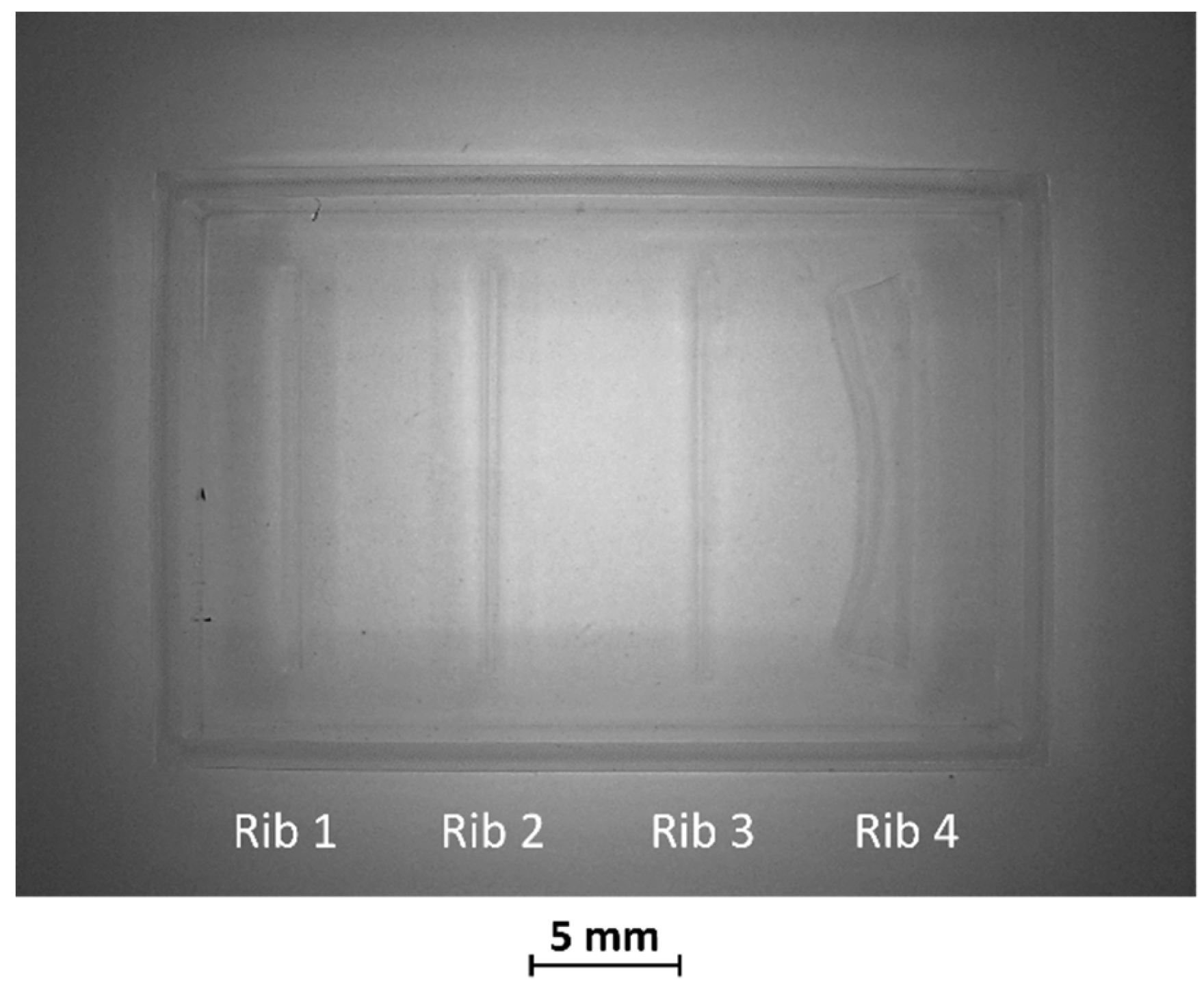Bioengineering 11 00080 g004