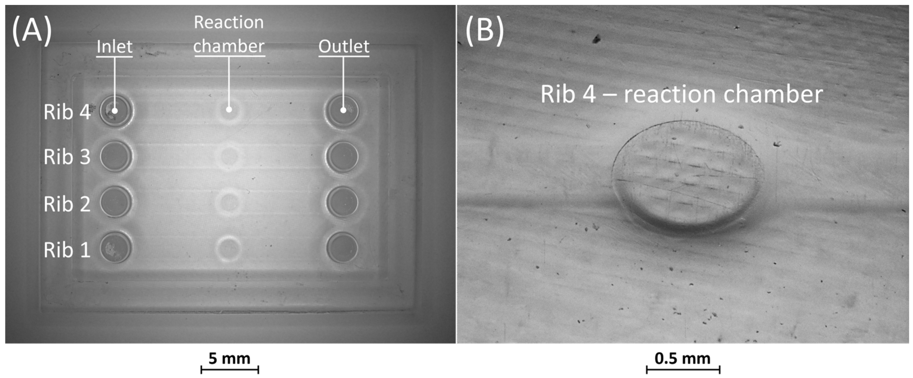 Bioengineering 11 00080 g006