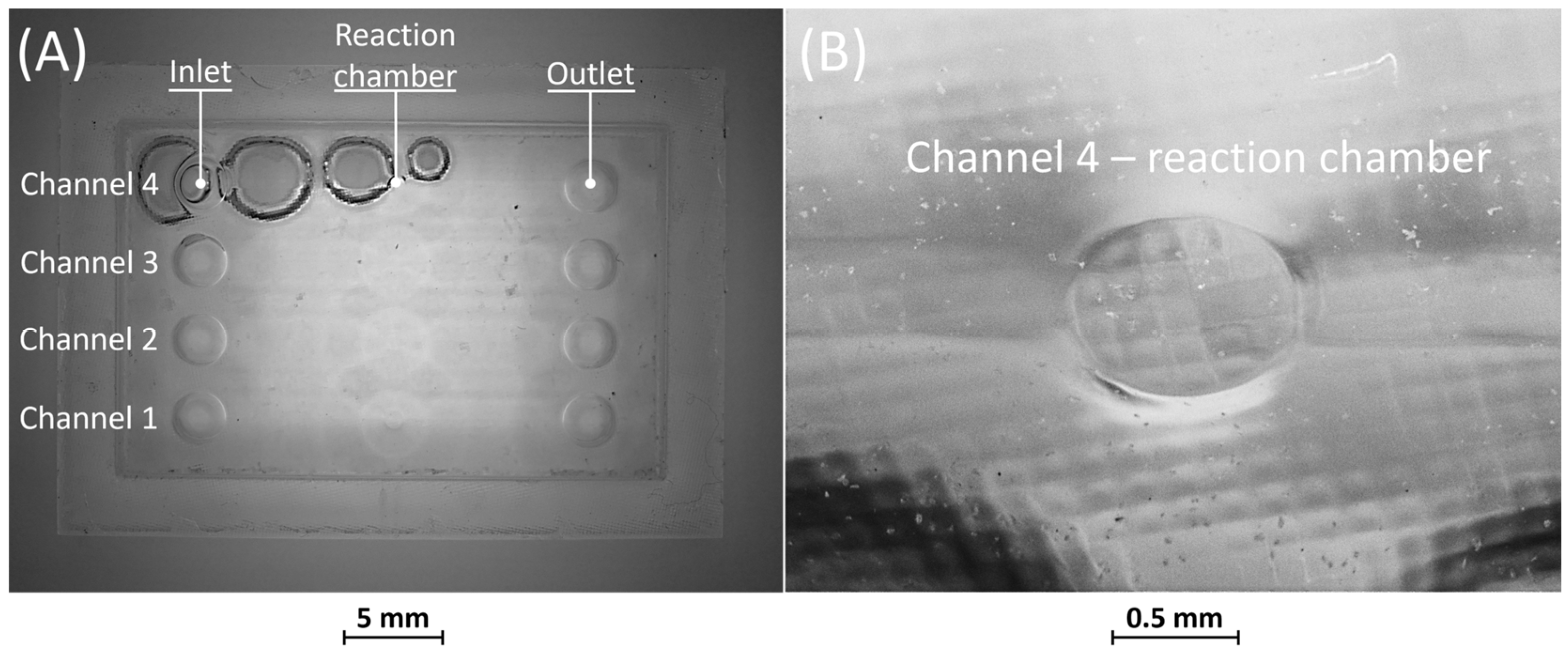 Bioengineering 11 00080 g008