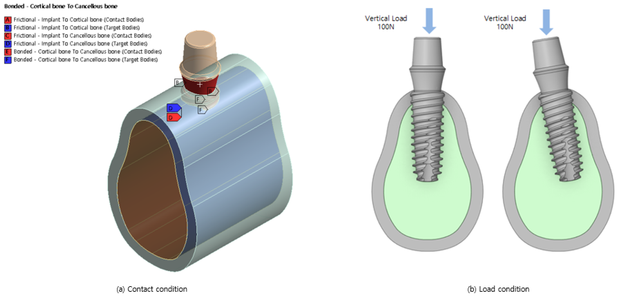 Bioengineering 11 00084 g002