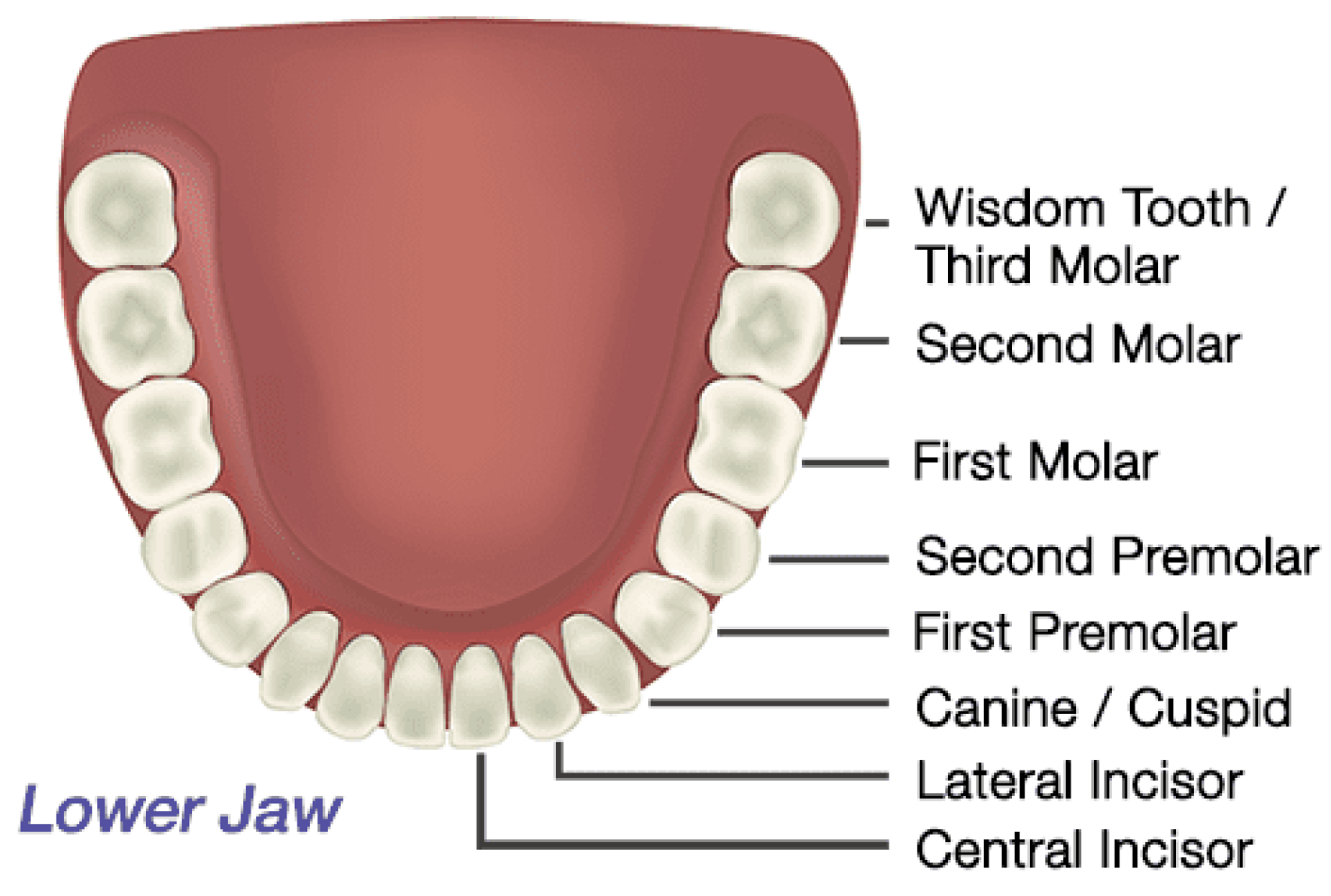 Bioengineering 11 00084 g003