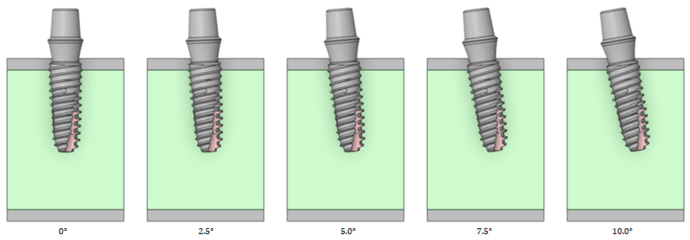 Bioengineering 11 00084 g008