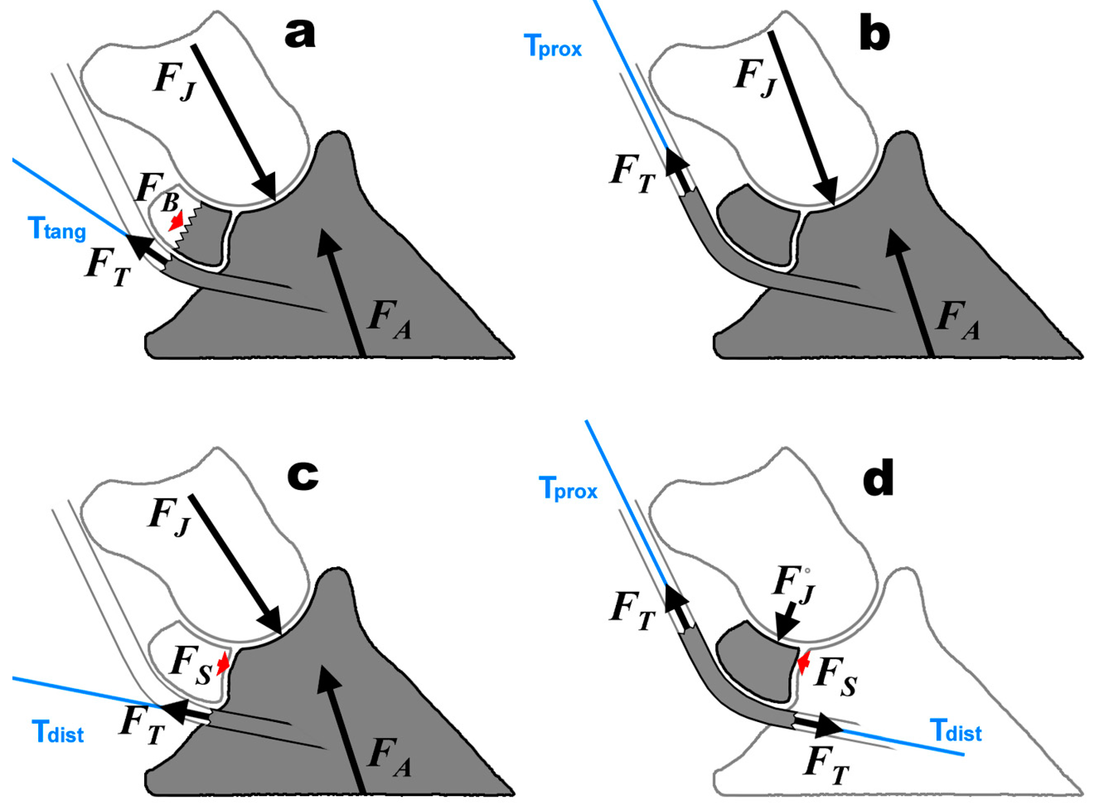 Bioengineering 11 00087 g008