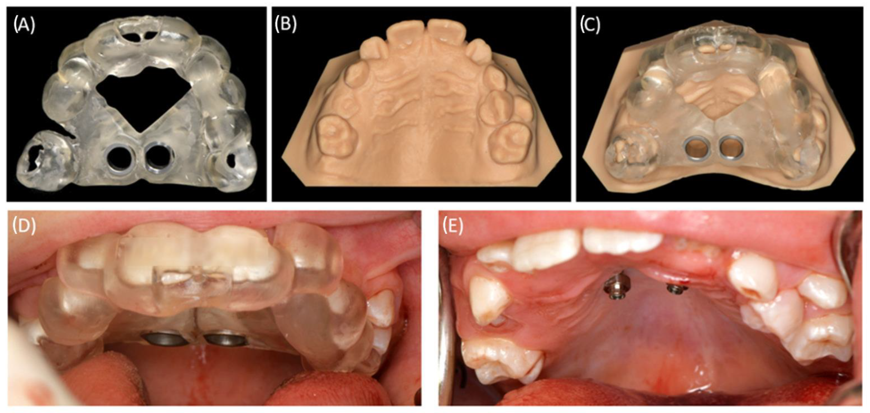 Bioengineering 11 00091 g004 Bioengineering 11 00091 g004