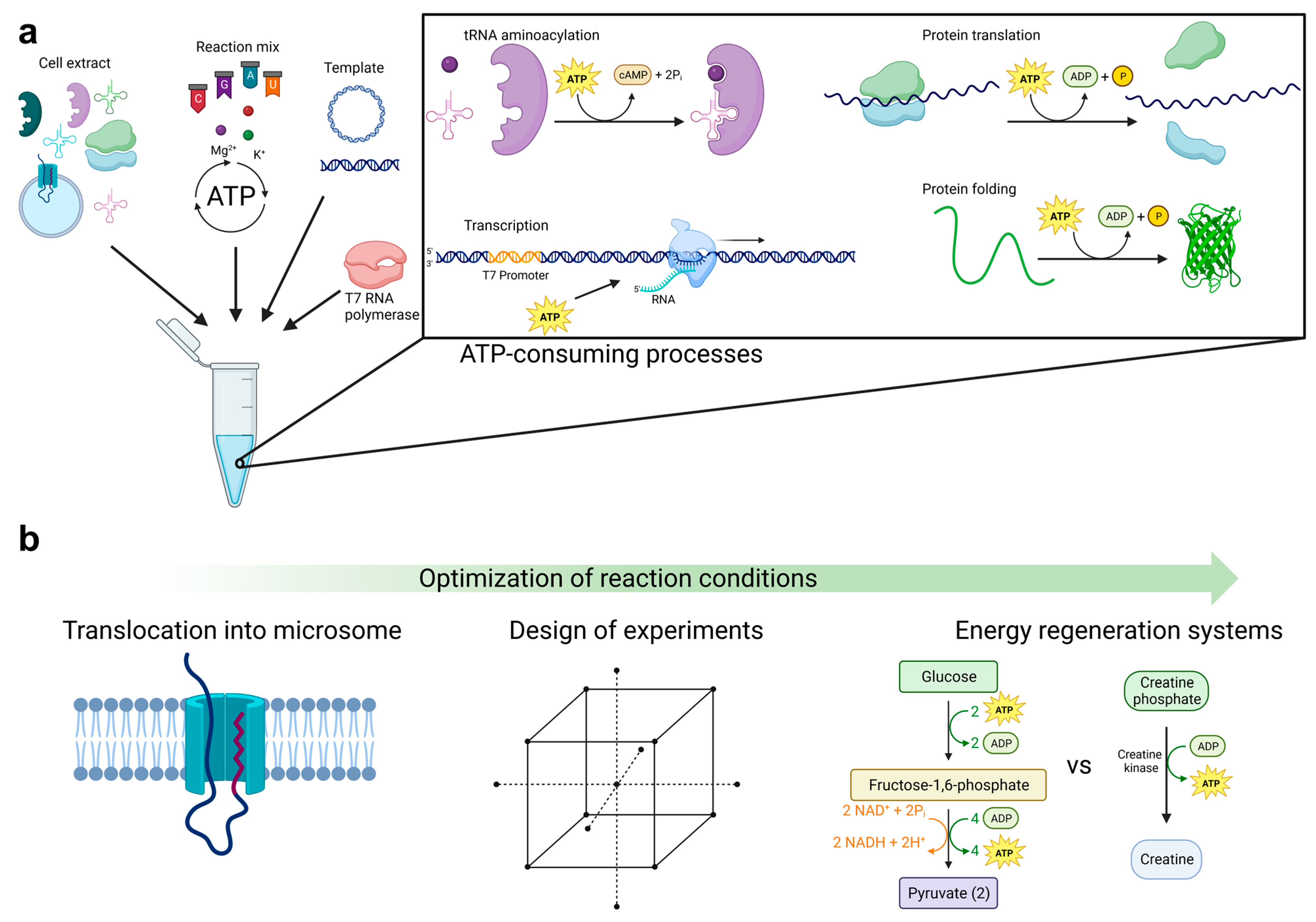 Bioengineering 11 00092 g001