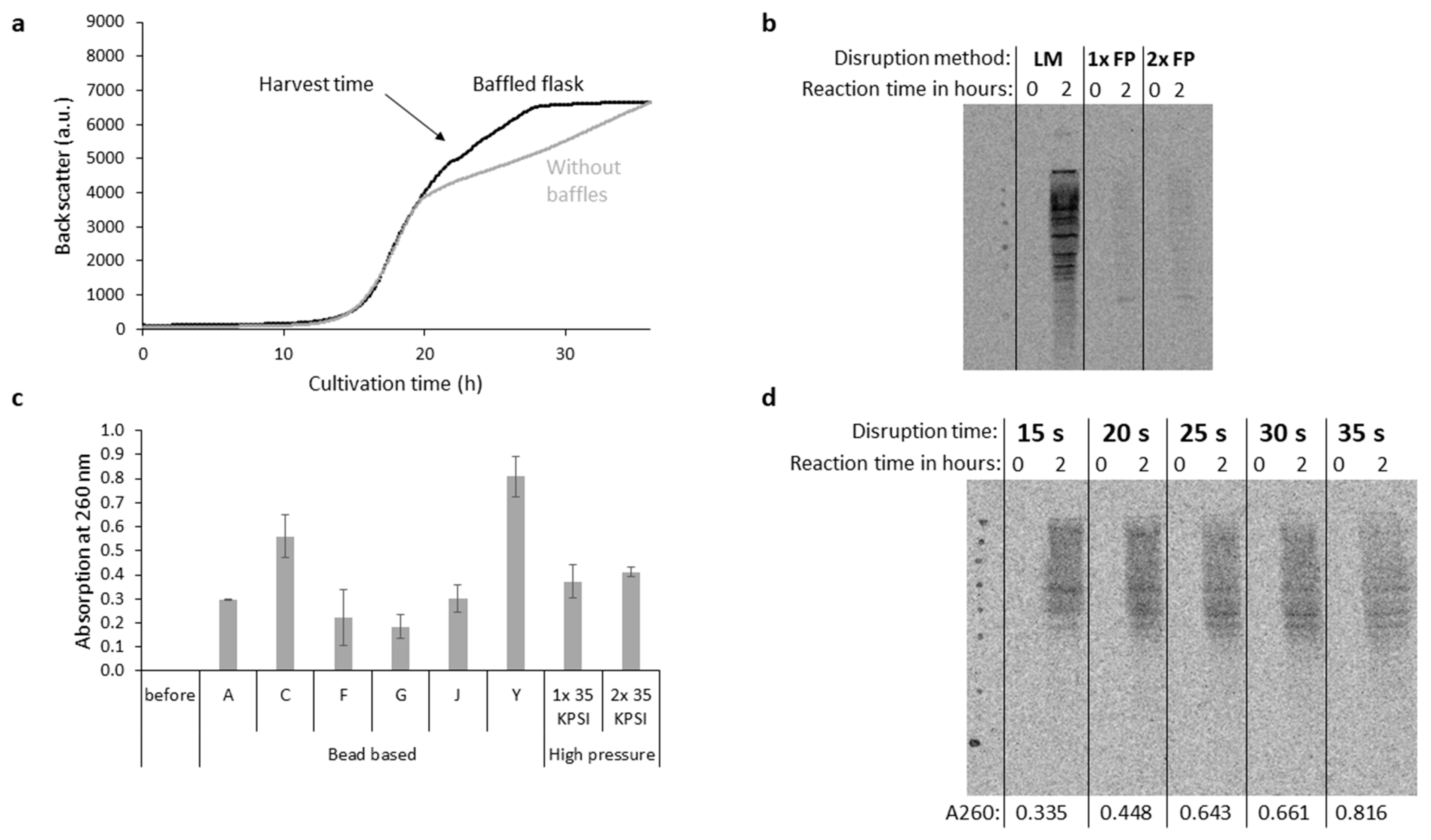 Bioengineering 11 00092 g002