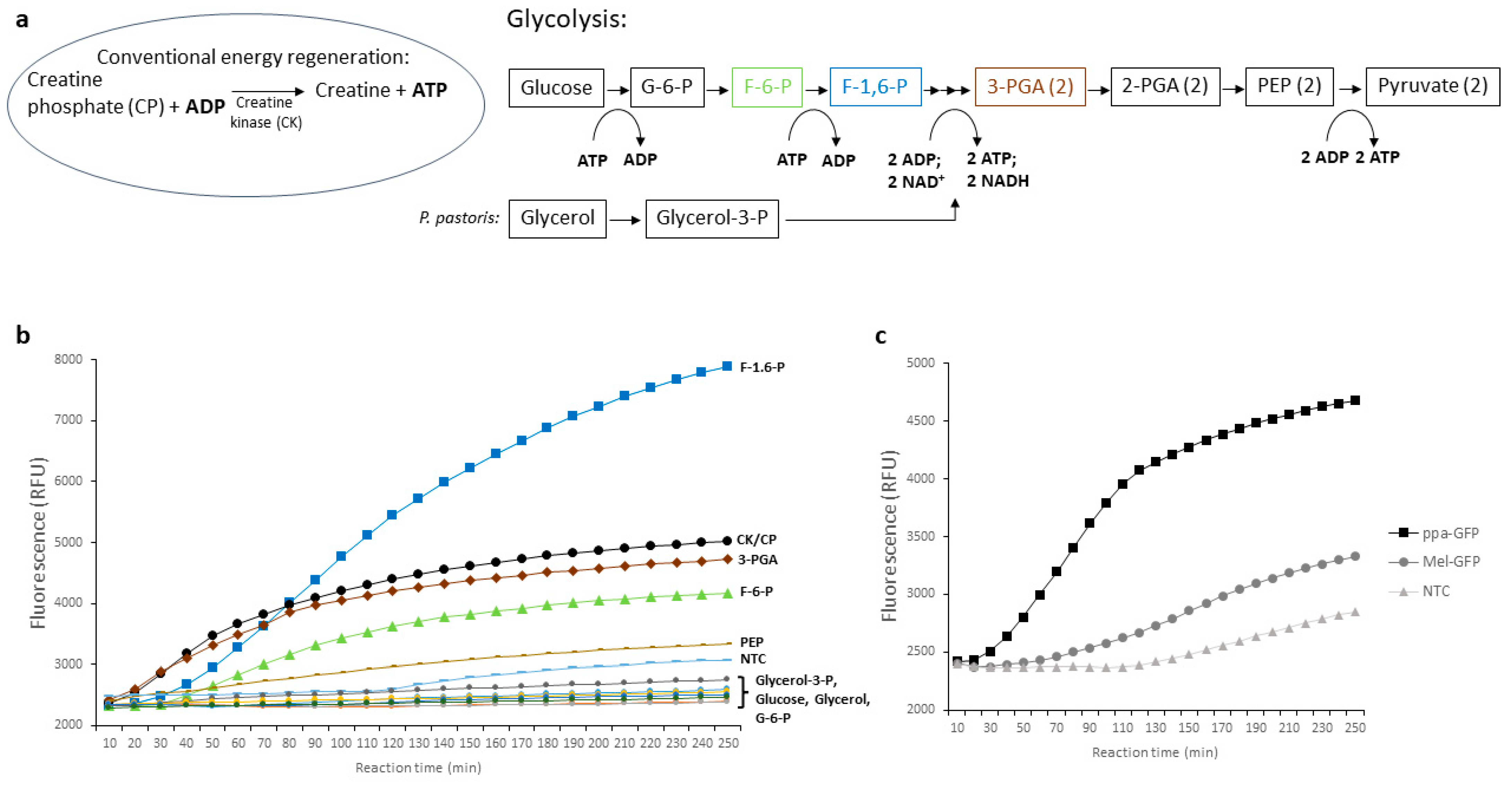 Bioengineering 11 00092 g004