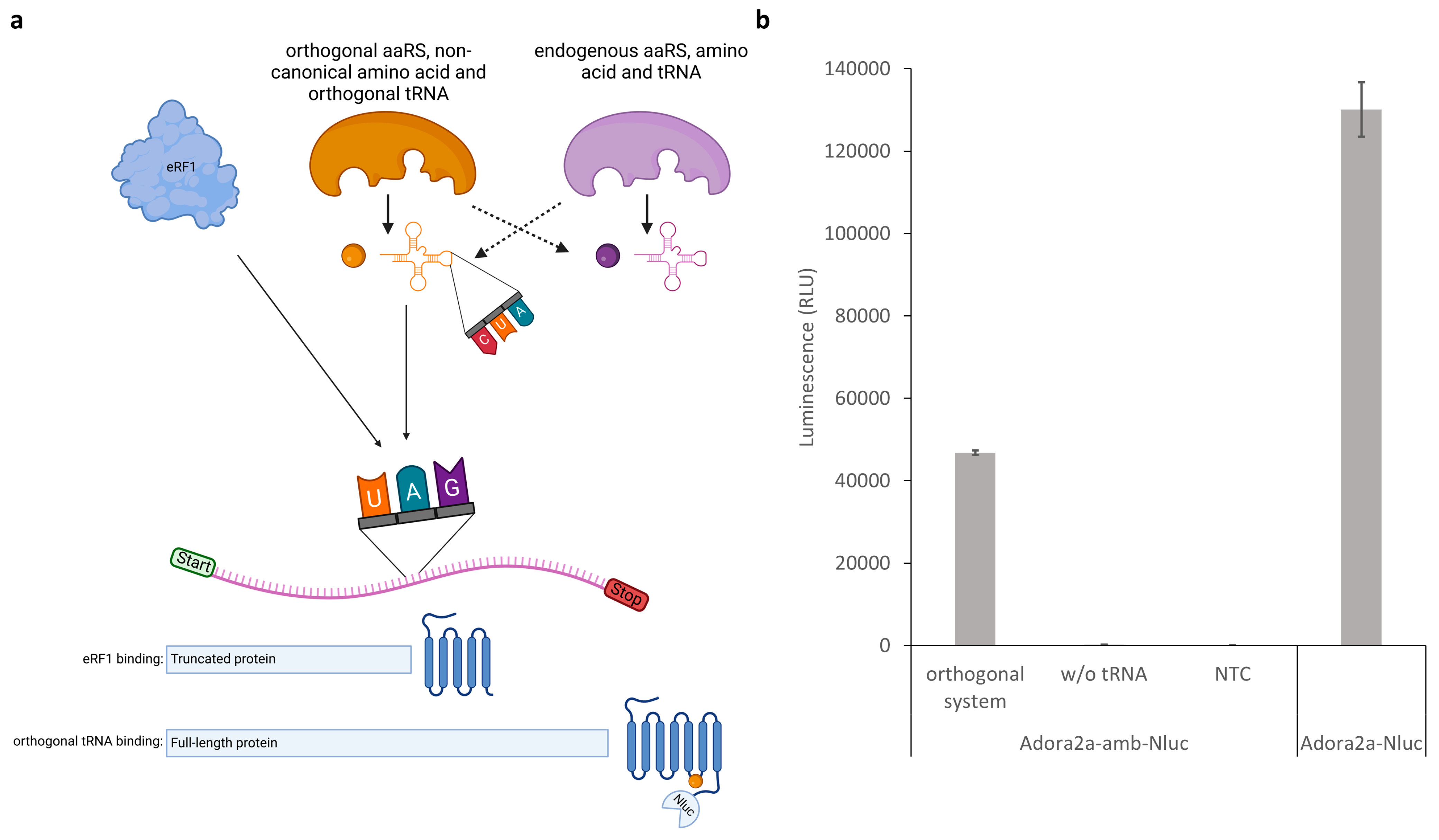 Bioengineering 11 00092 g007