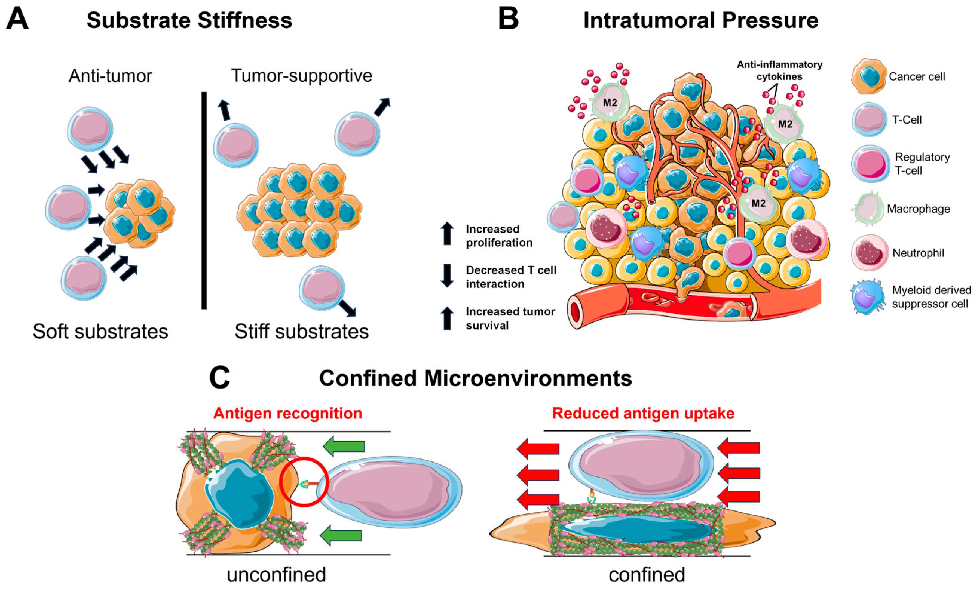 Bioengineering 11 00093 g001 Bioengineering 11 00093 g001