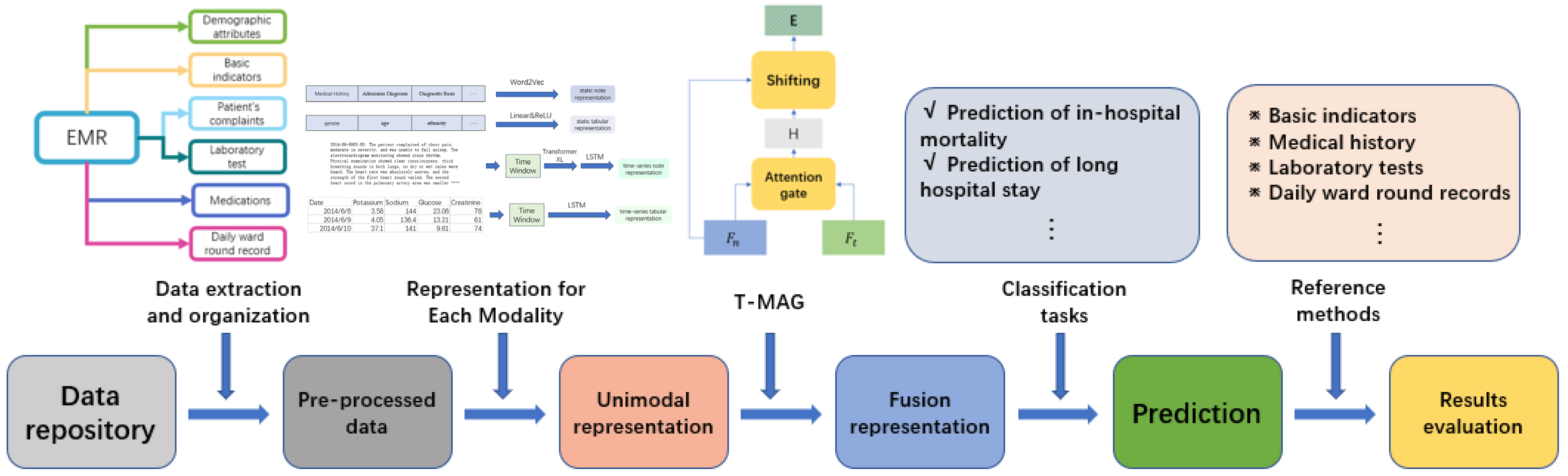 Bioengineering 11 00094 g001