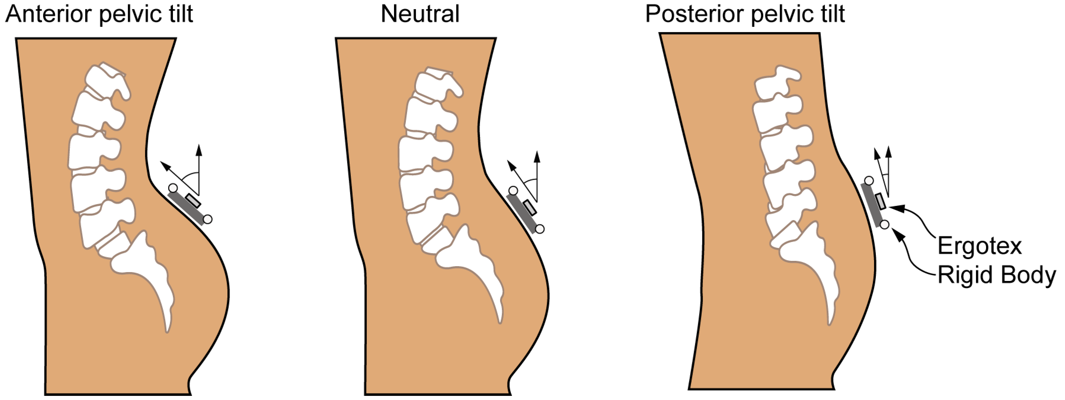 Bioengineering 11 00098 g002