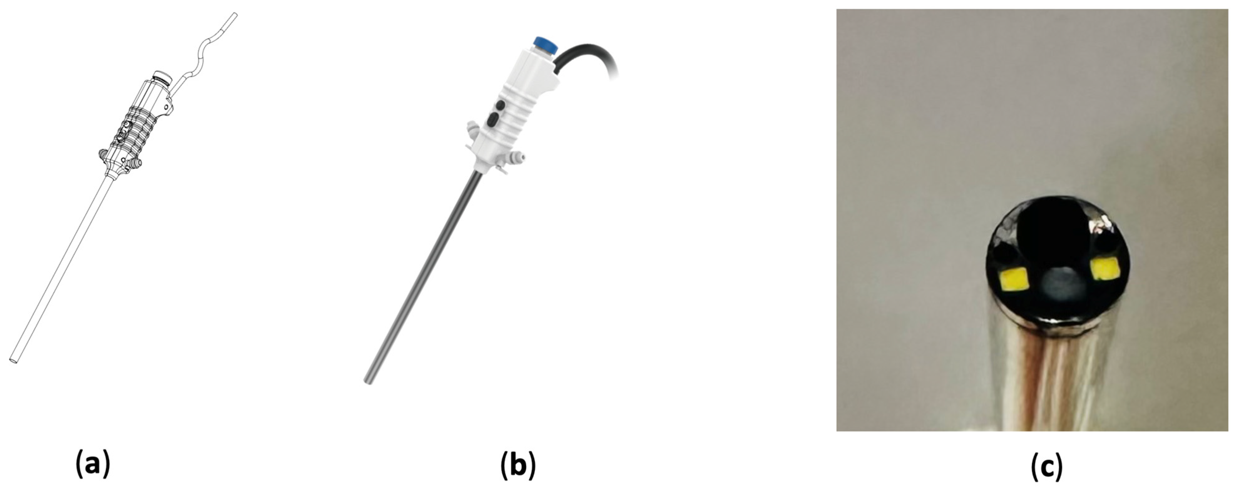Bioengineering 11 00099 g002