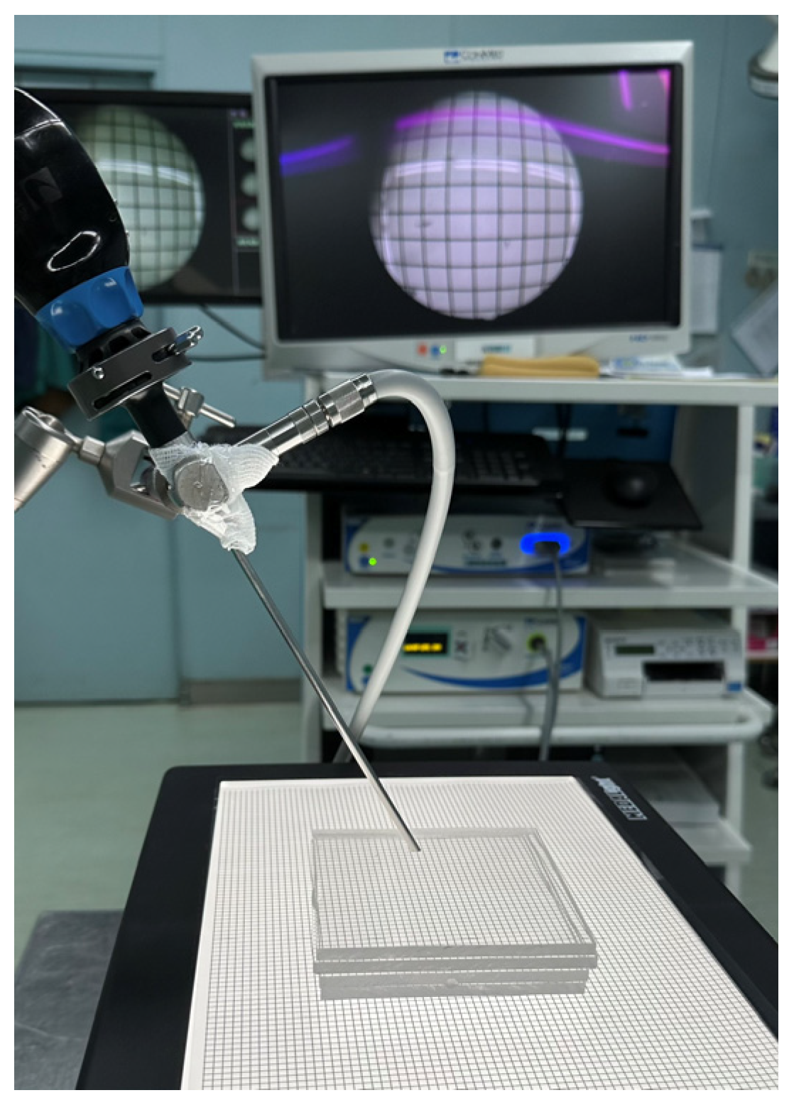 Bioengineering 11 00099 g003