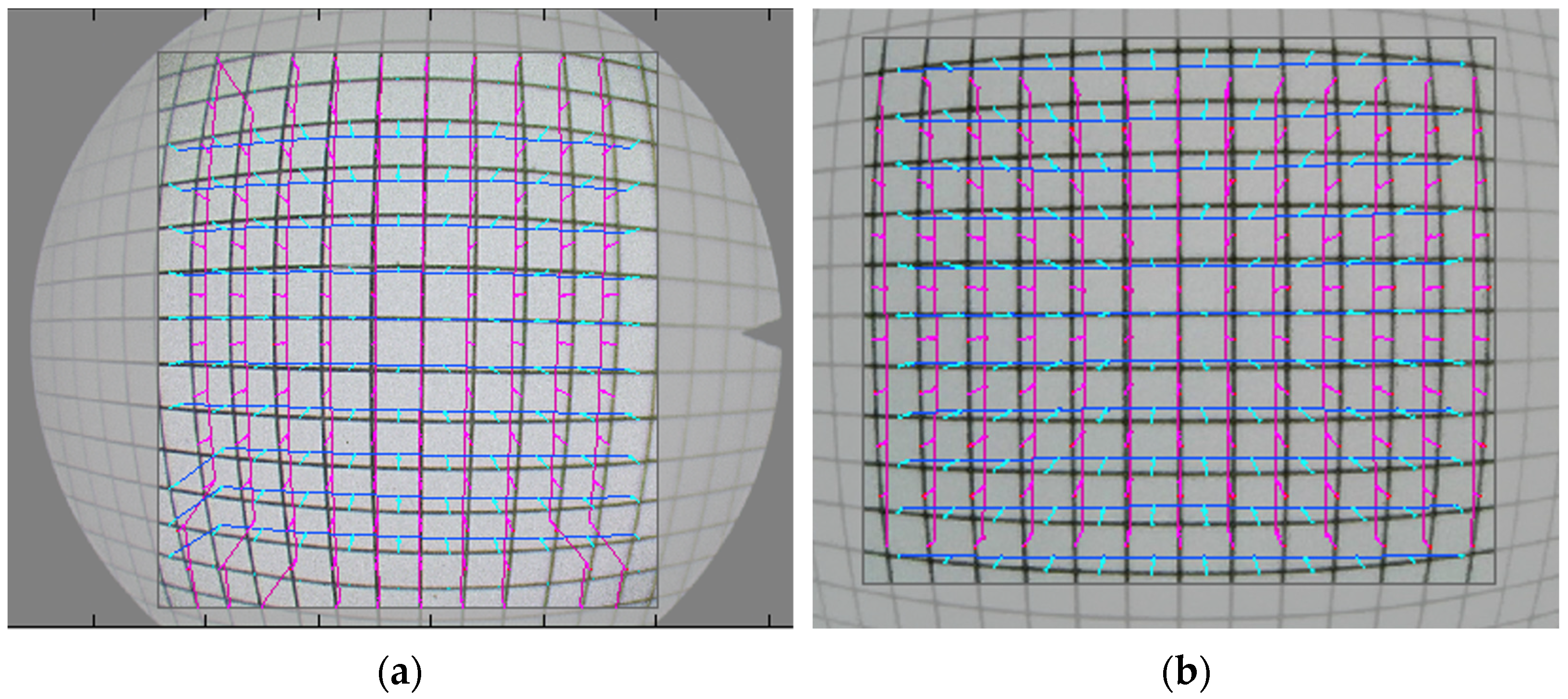 Bioengineering 11 00099 g005