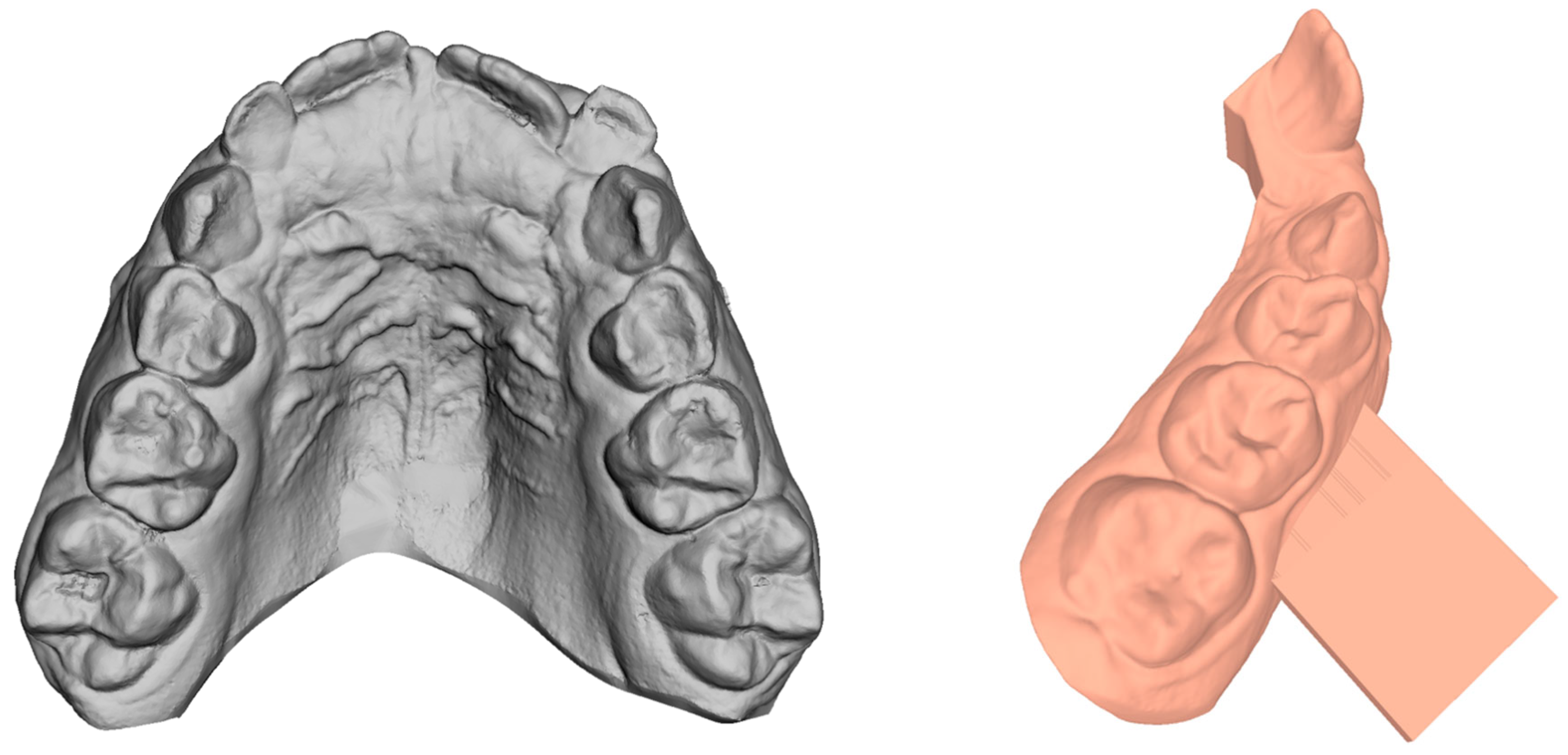 Bioengineering 11 00103 g001 Bioengineering 11 00103 g001