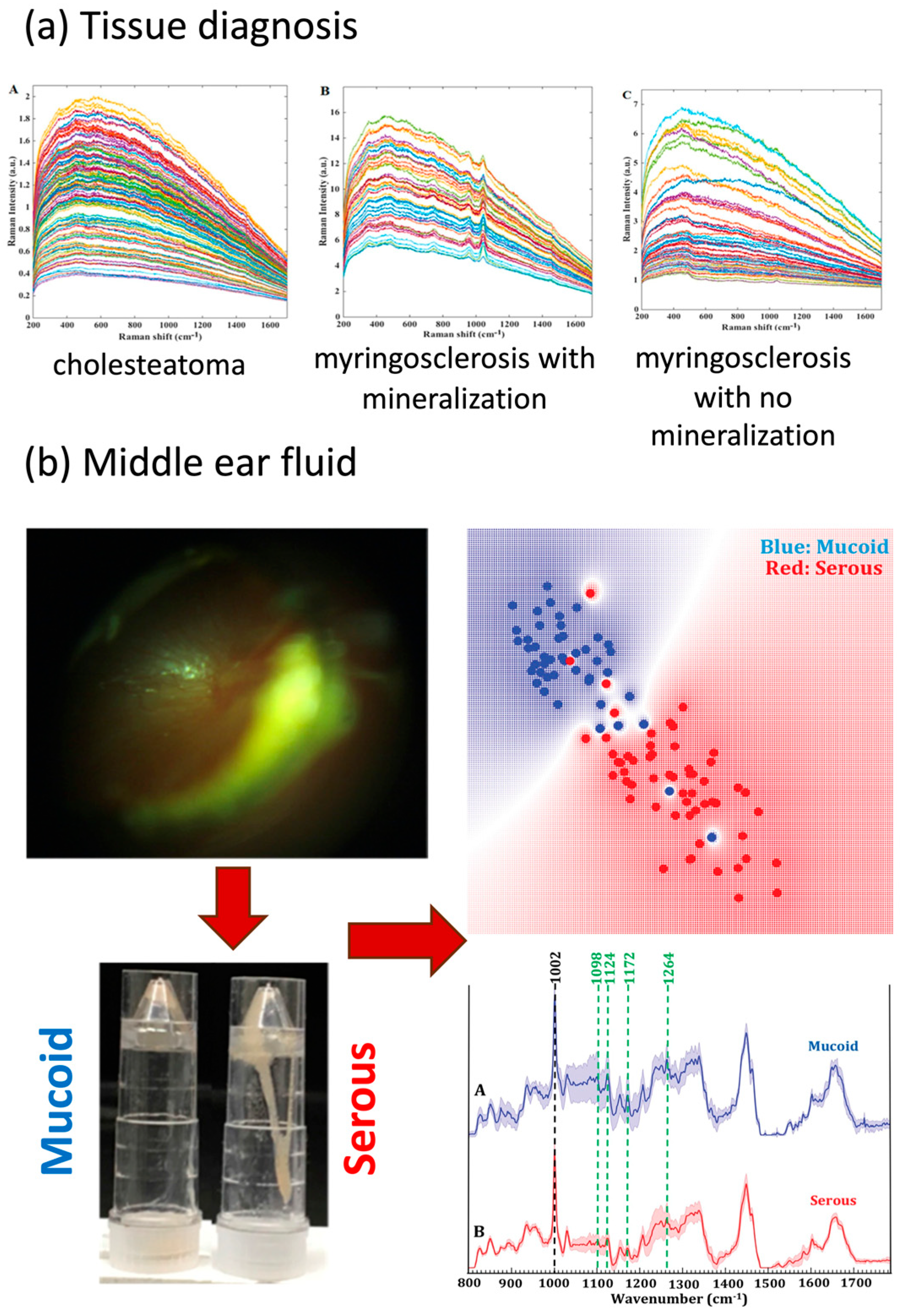 Bioengineering 11 00104 g001