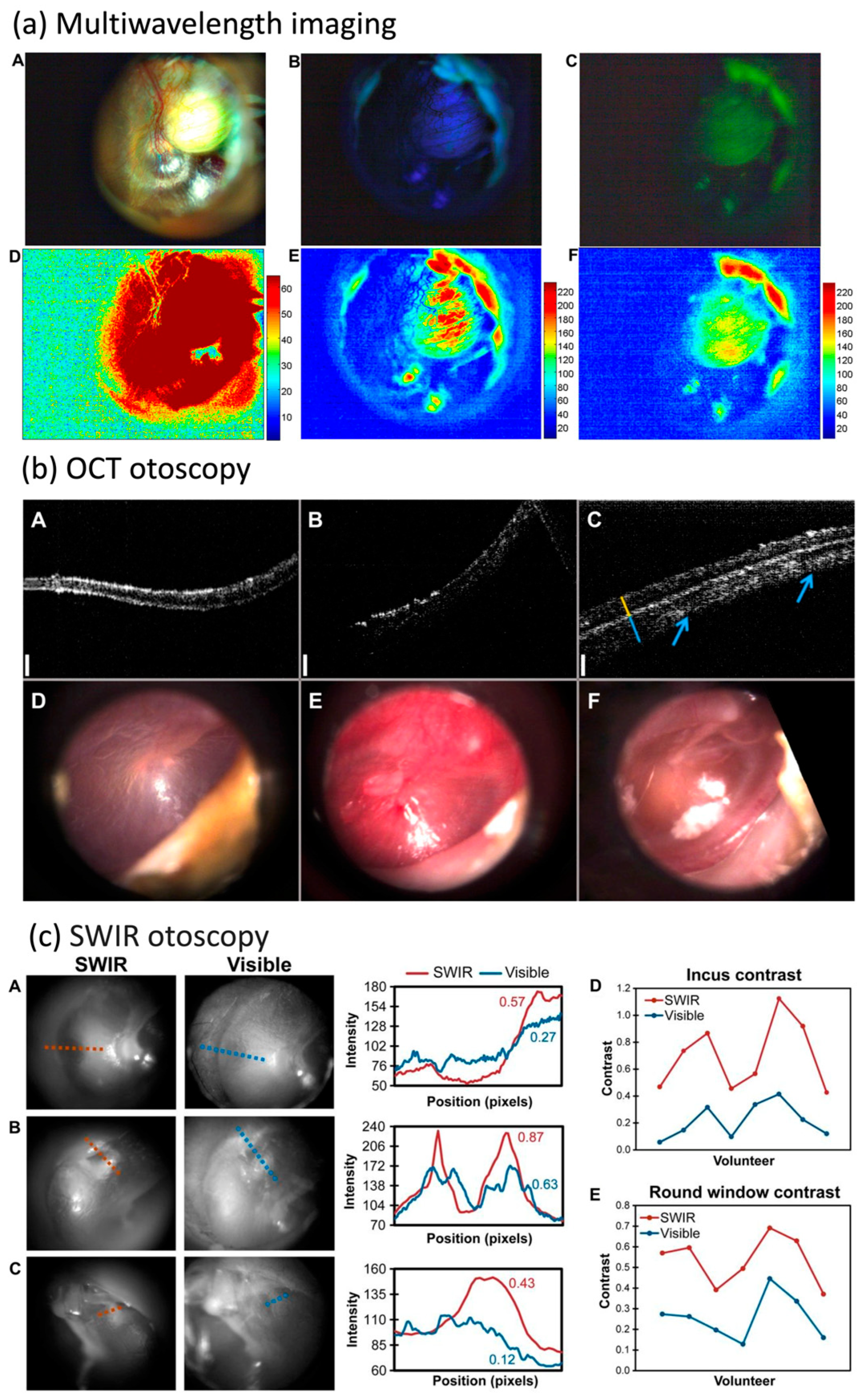 Bioengineering 11 00104 g002
