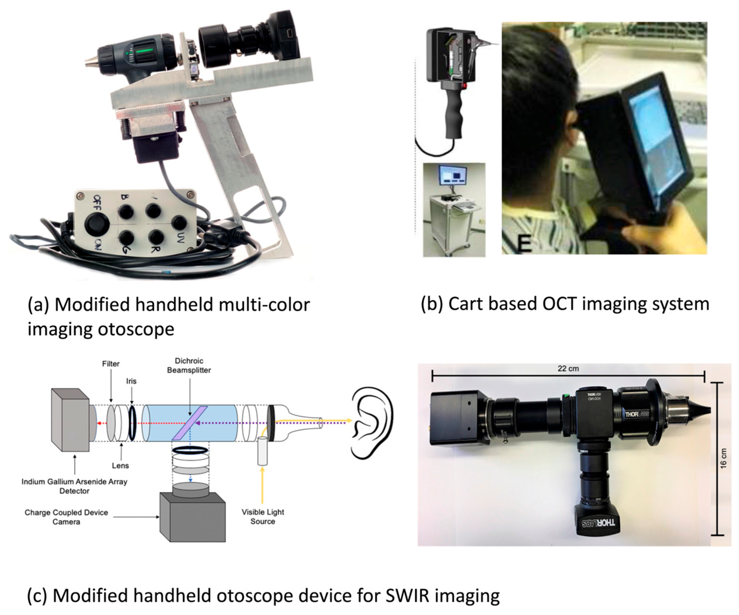Bioengineering 11 00104 g003