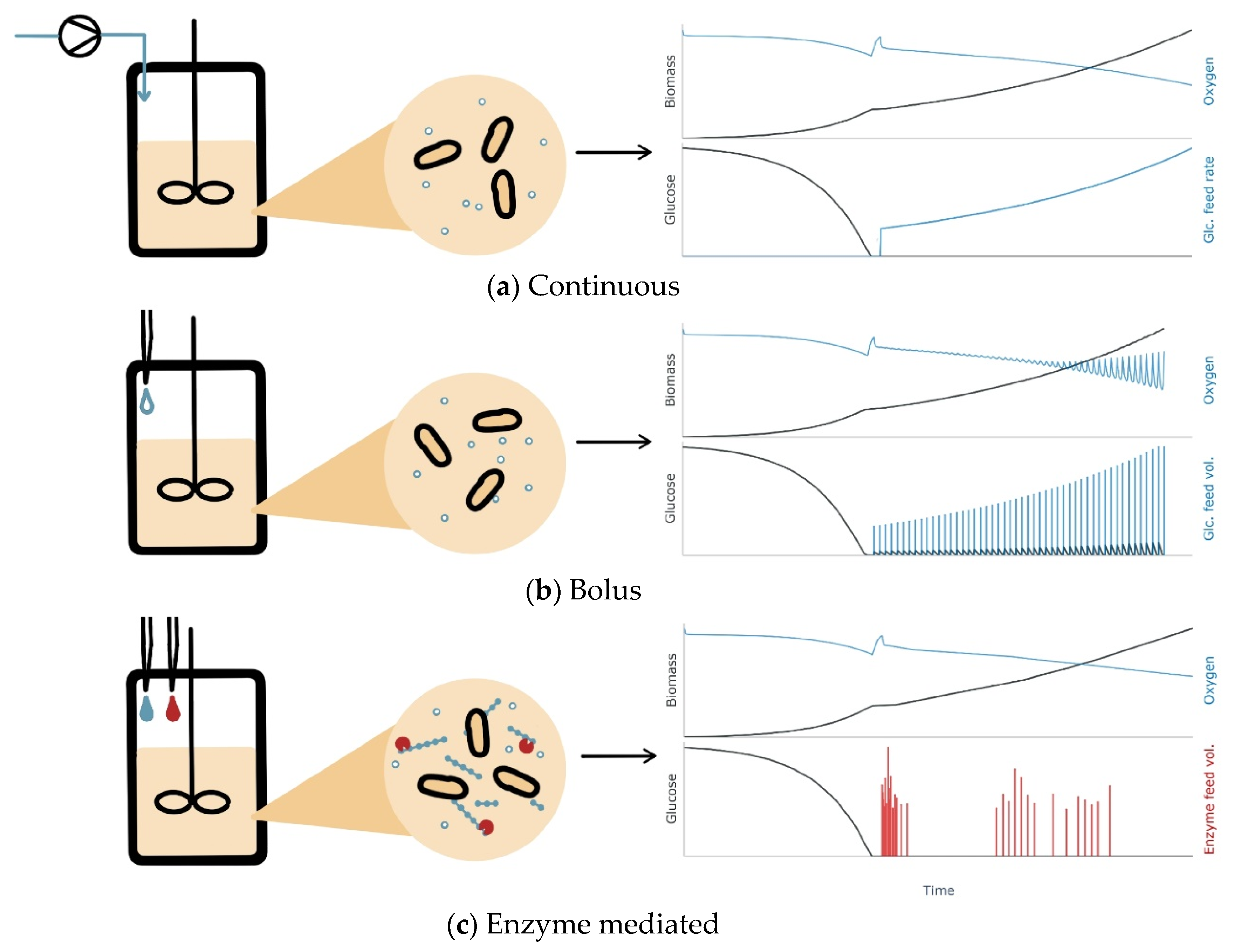 Bioengineering 11 00107 g001