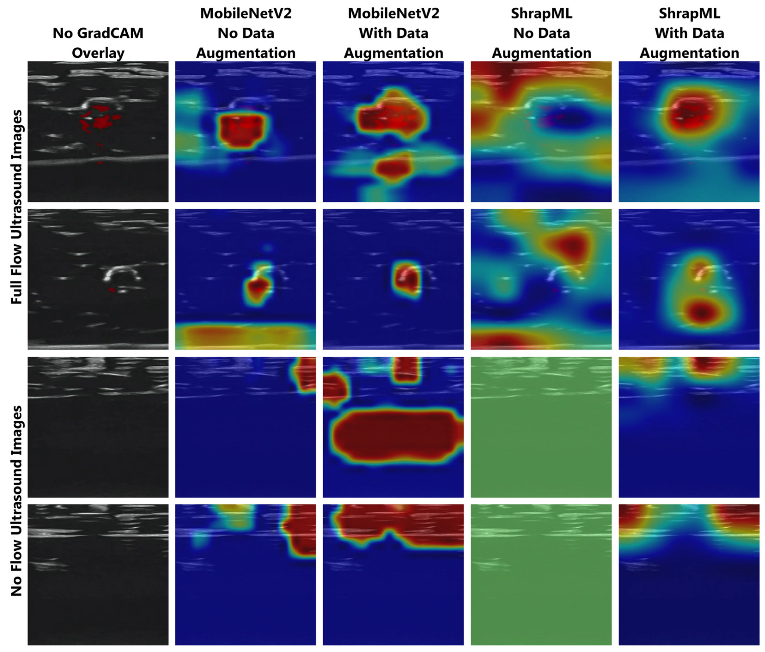 Bioengineering 11 00109 g002