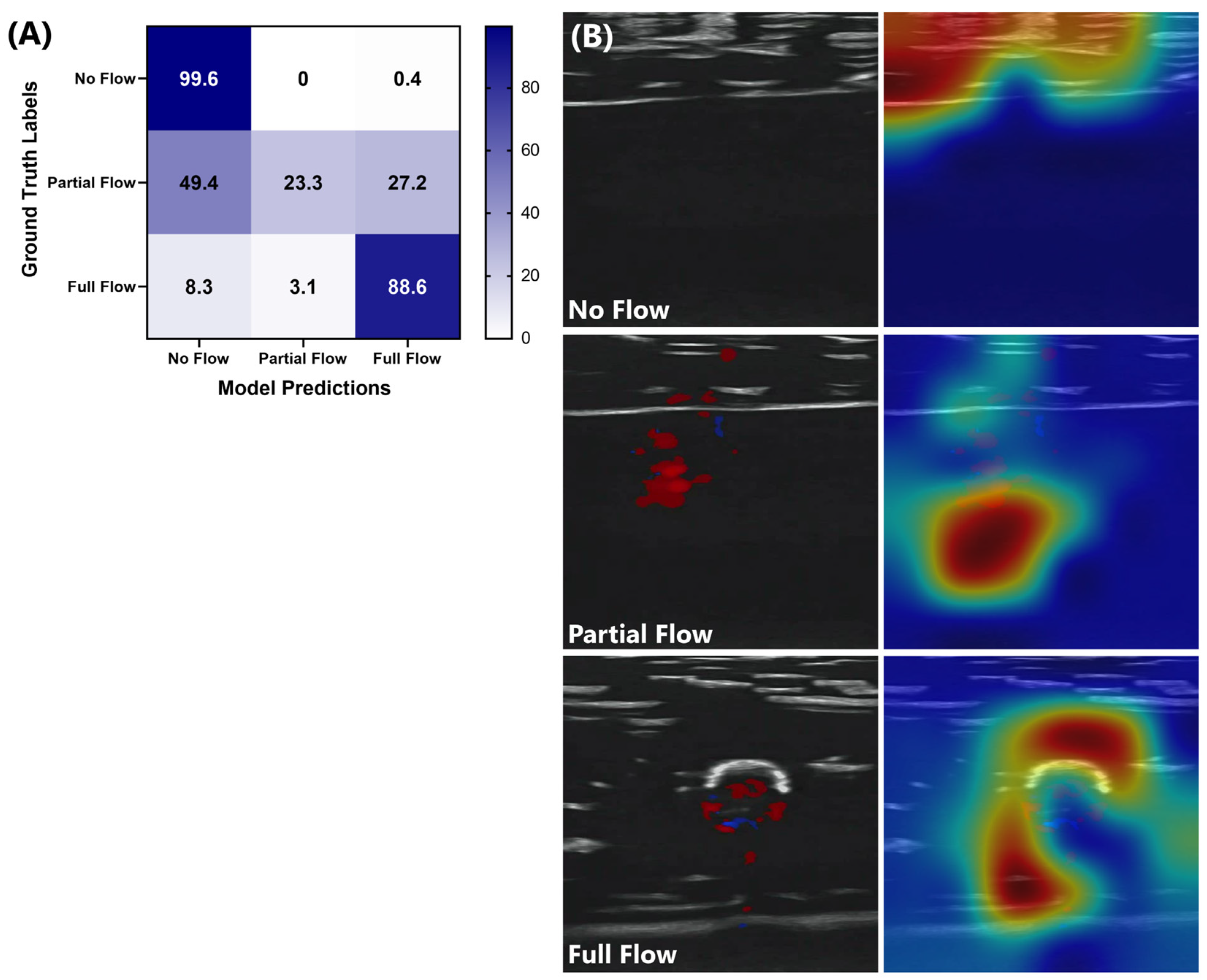 Bioengineering 11 00109 g003