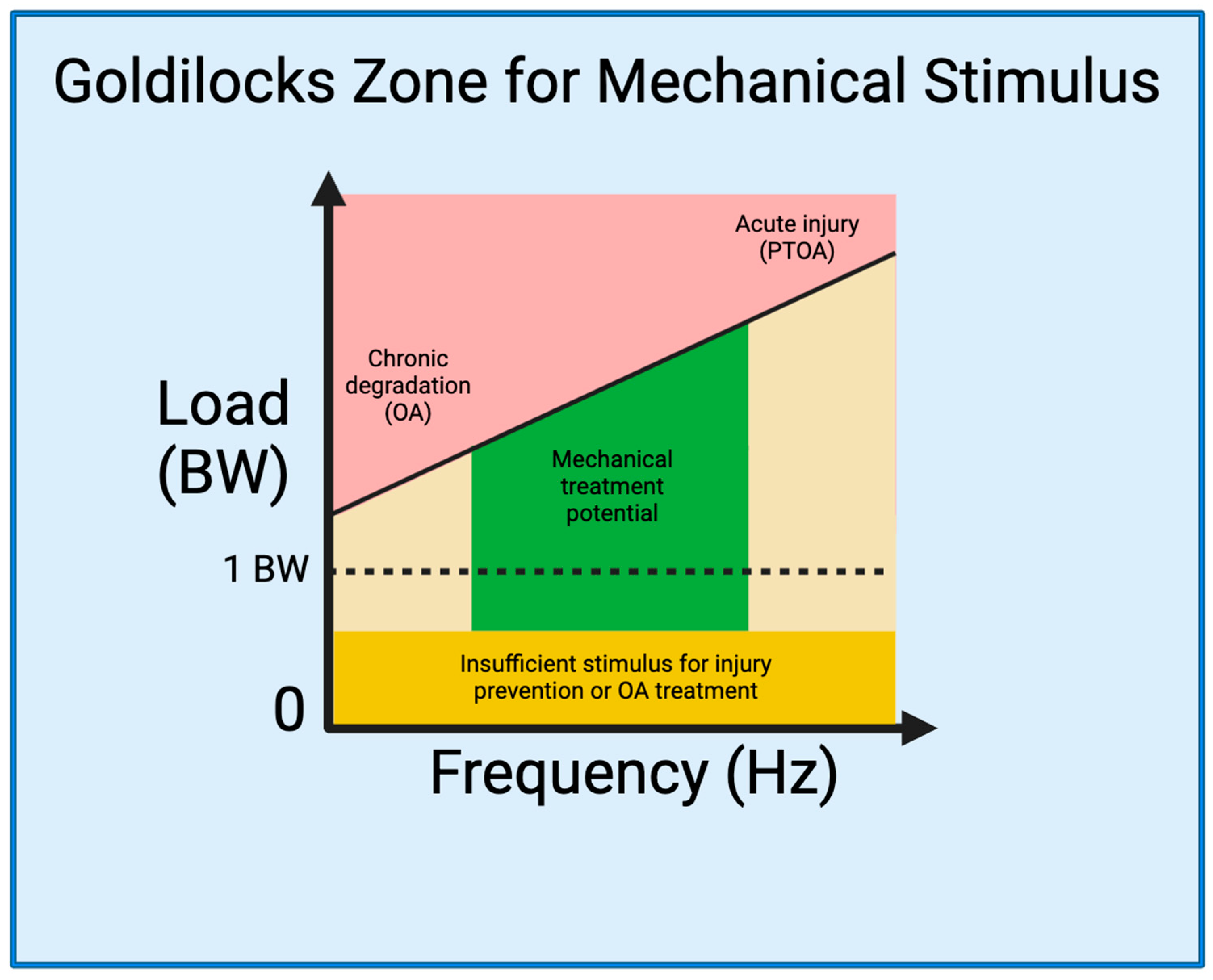 Bioengineering 11 00110 g001
