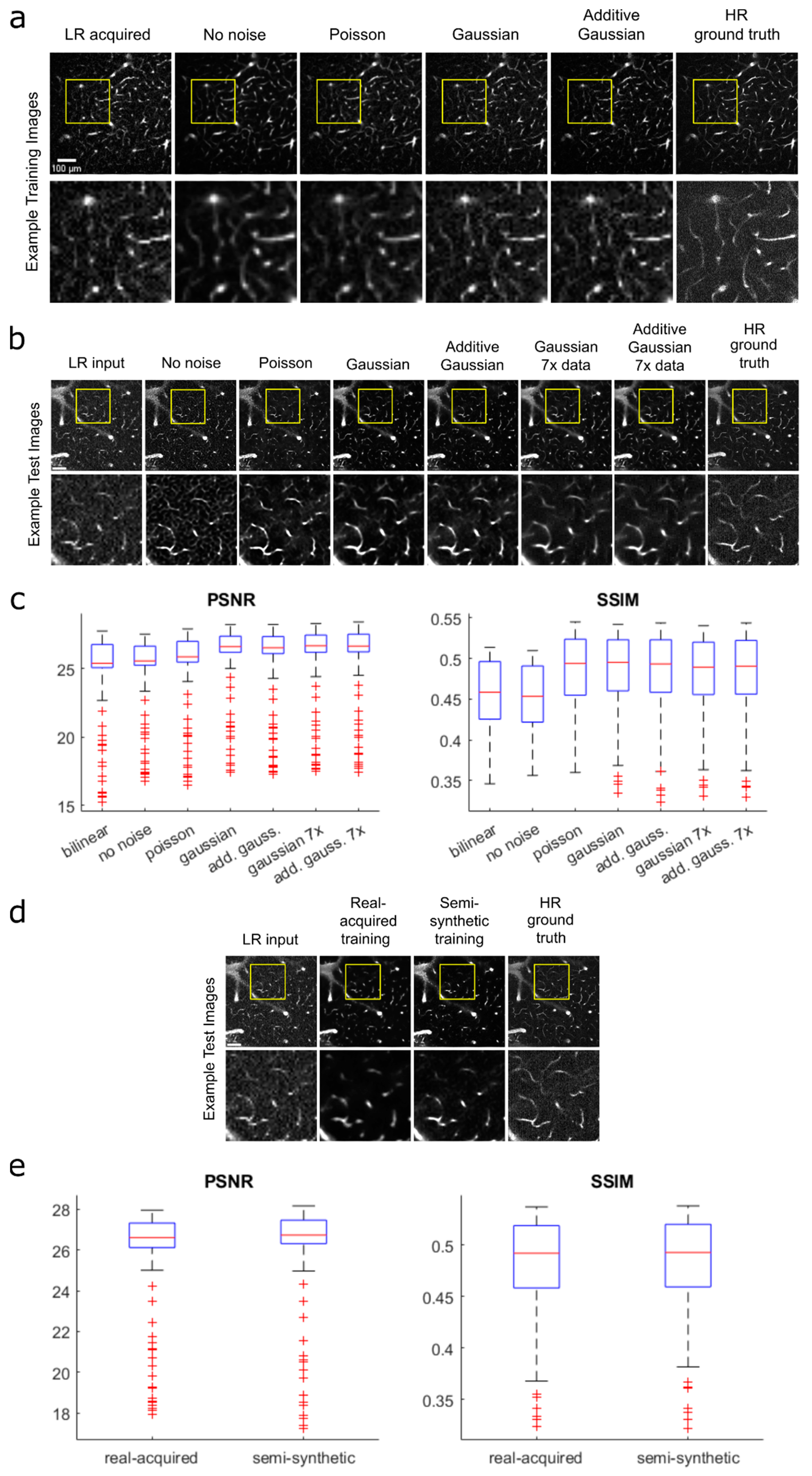Bioengineering 11 00111 g002