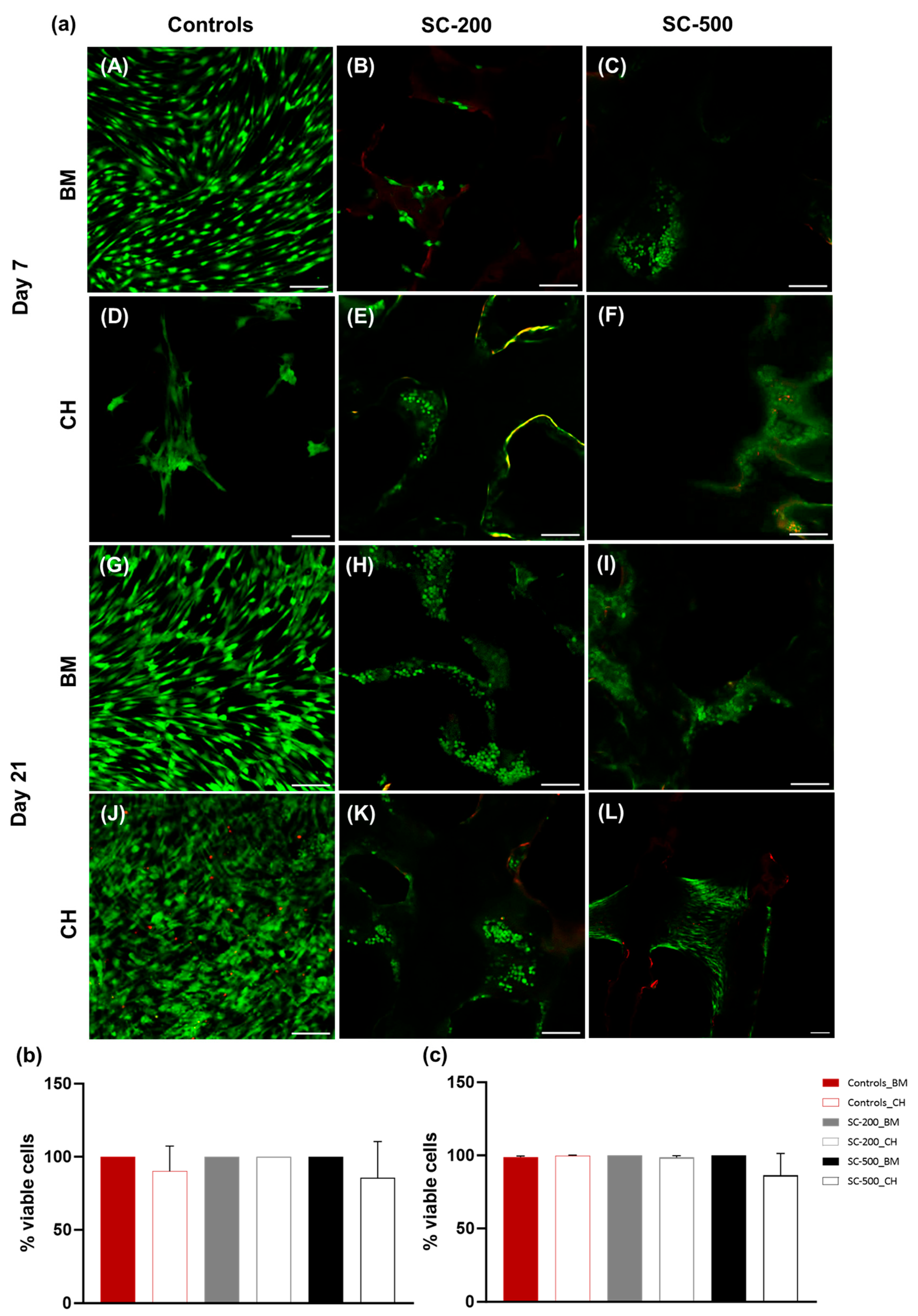 Bioengineering 11 00112 g003