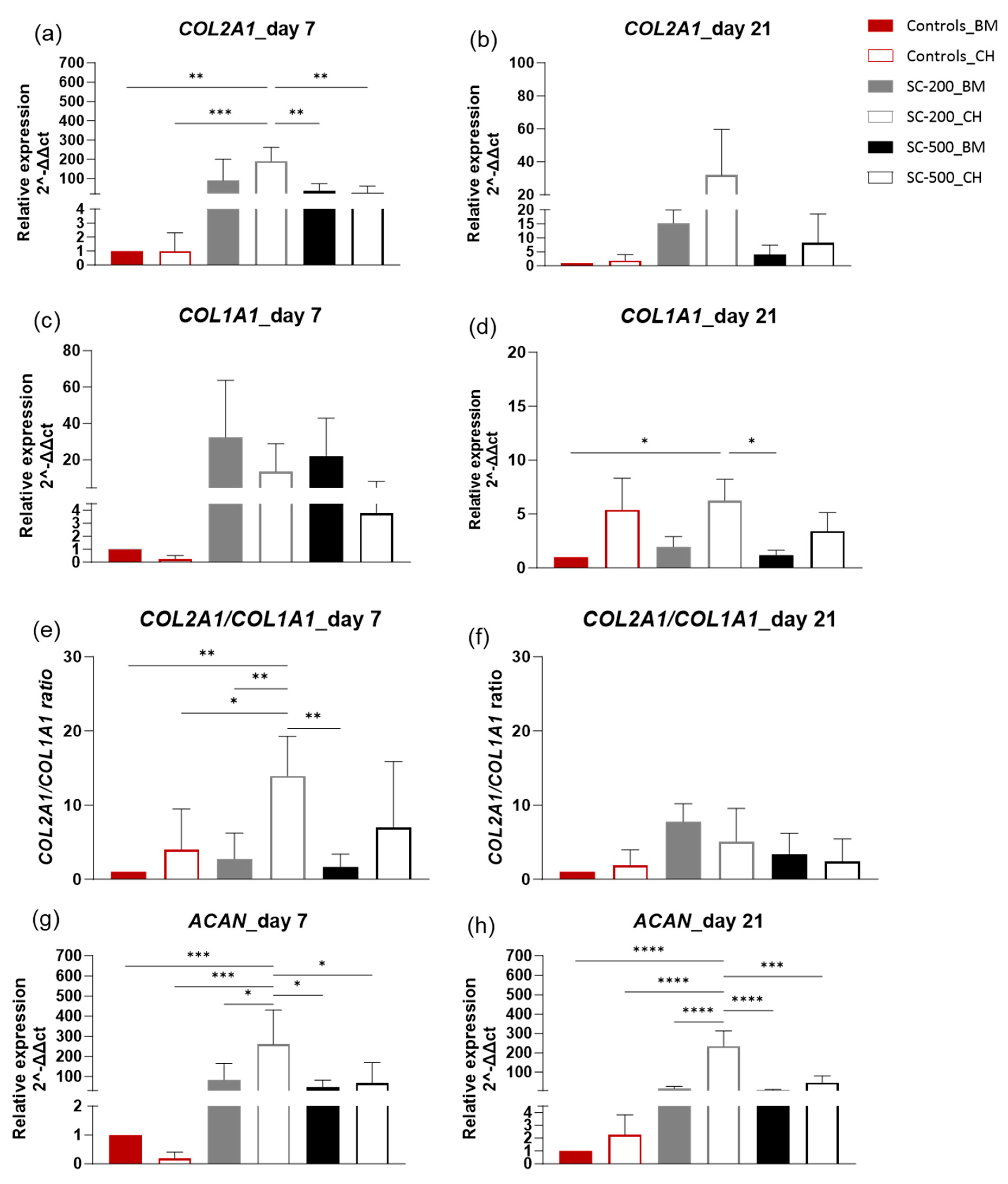 Bioengineering 11 00112 g006