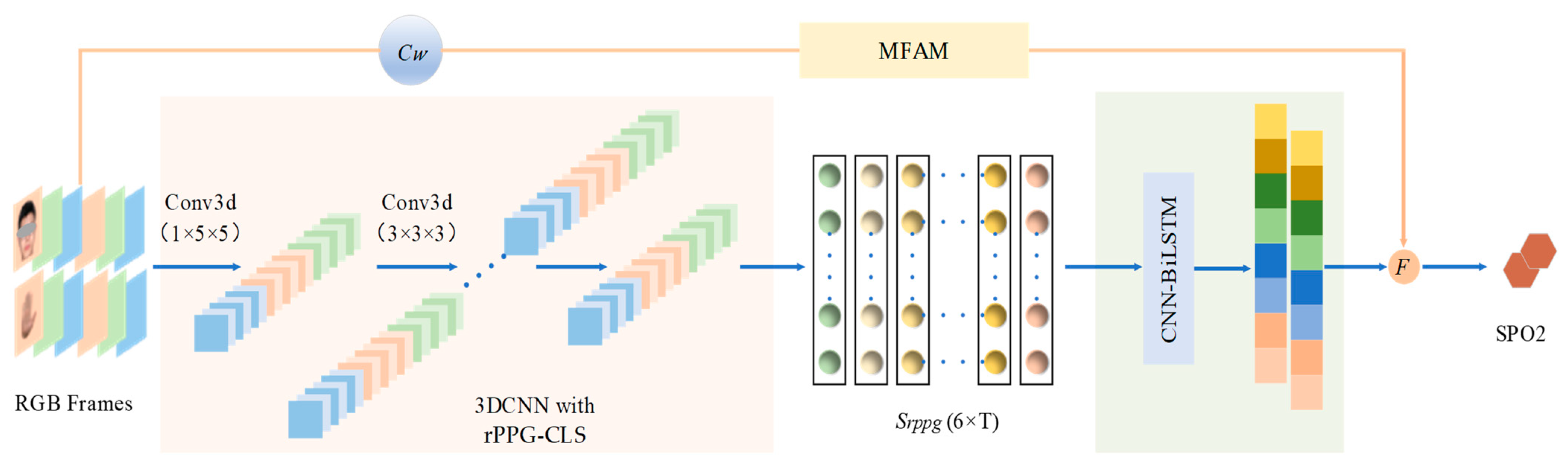 Bioengineering 11 00113 g001