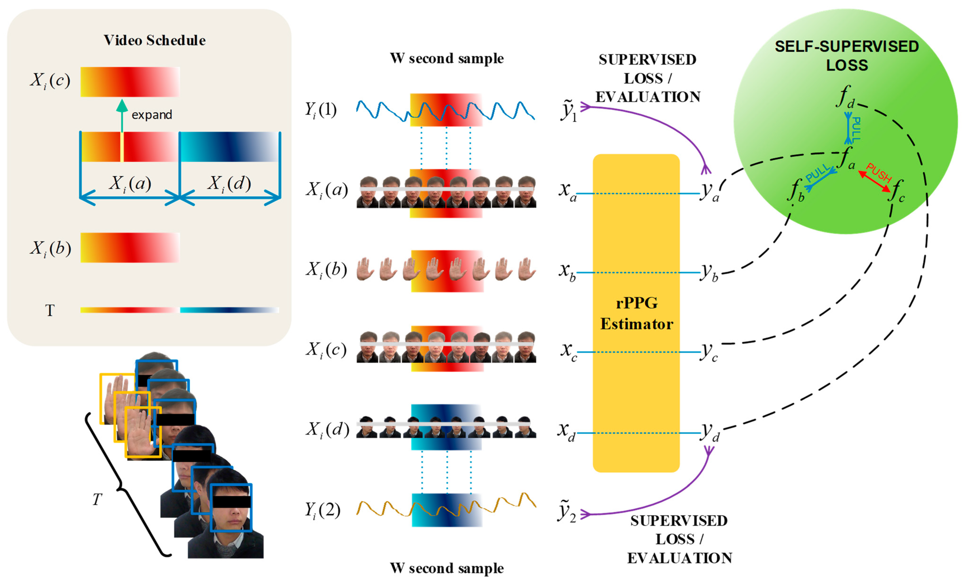 Bioengineering 11 00113 g004