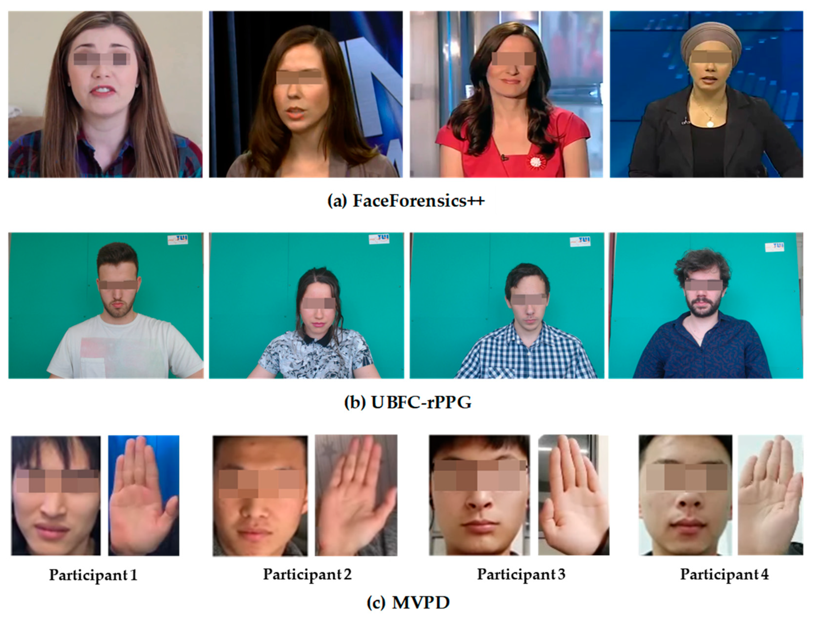 Bioengineering 11 00113 g006