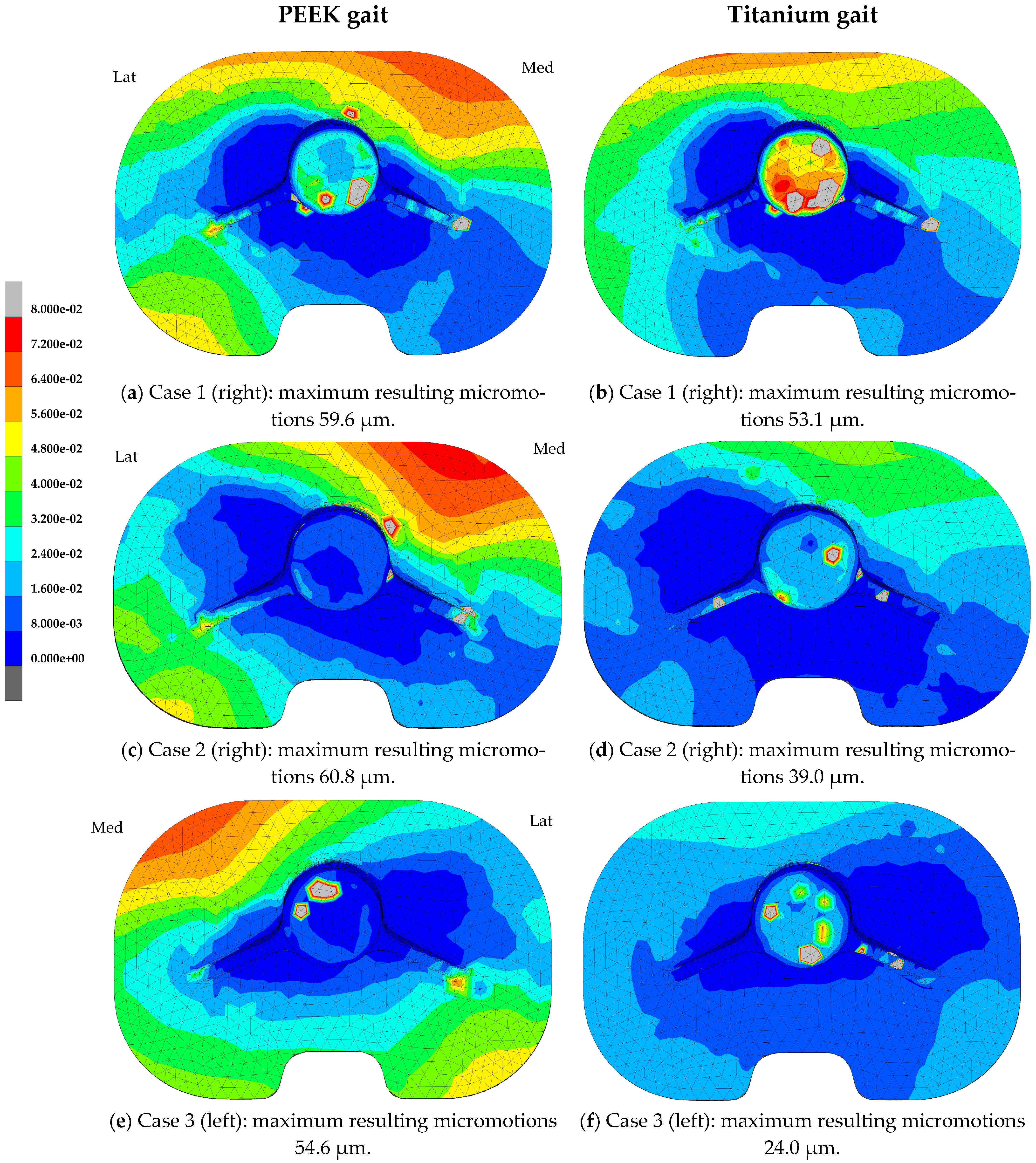 Bioengineering 11 00116 g003a