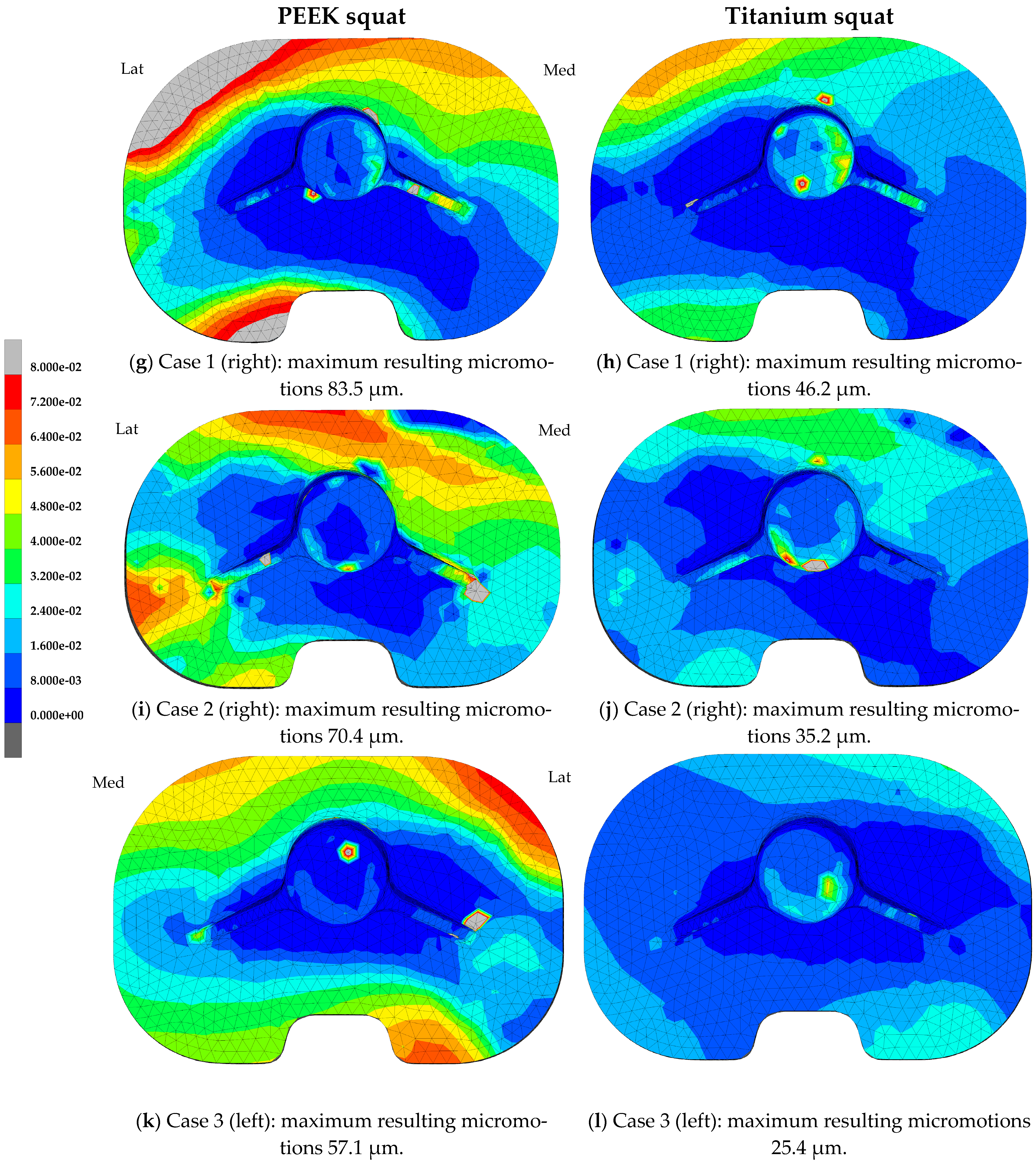 Bioengineering 11 00116 g003b