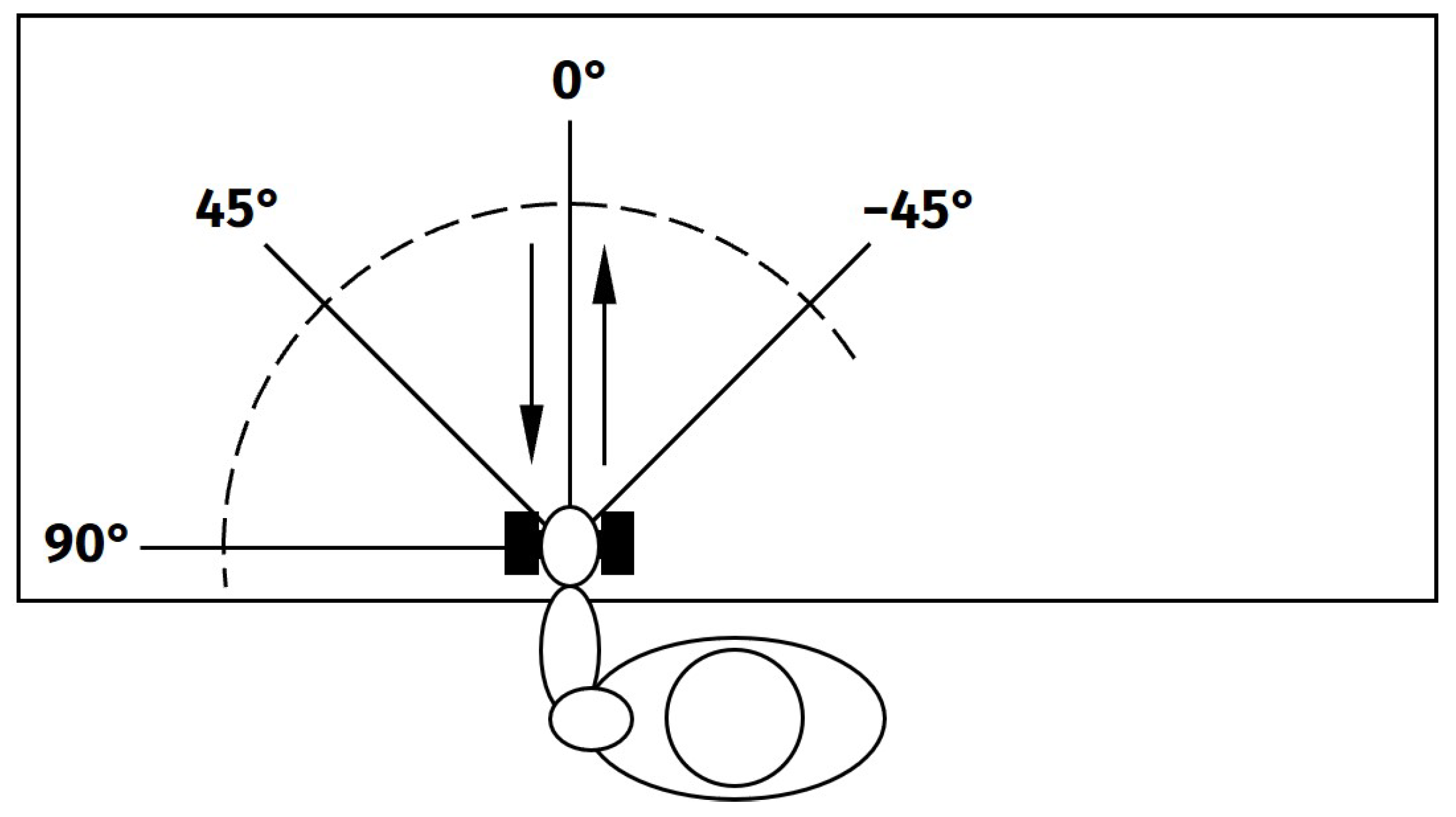 Bioengineering 11 00119 g001