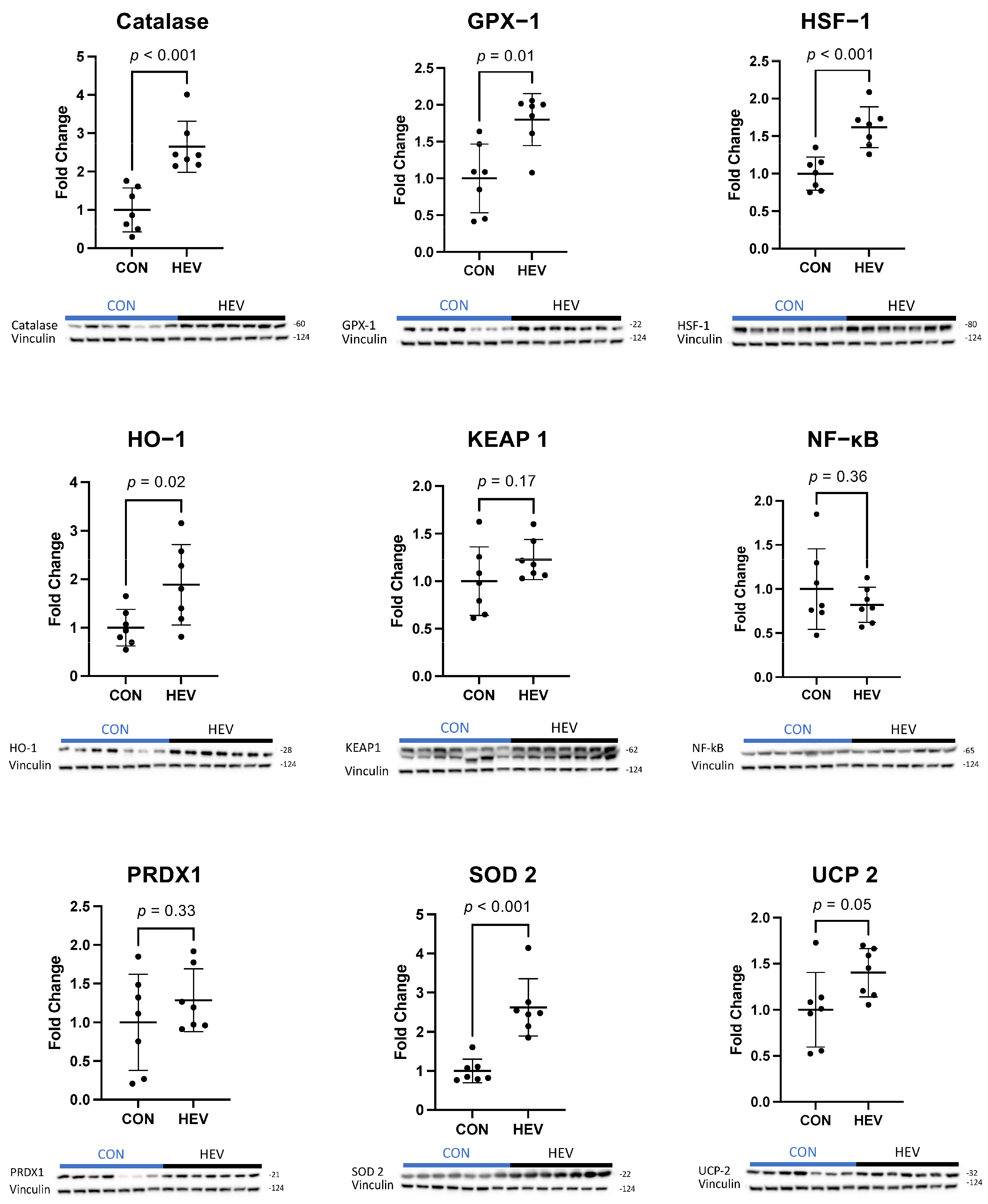 Bioengineering 11 00125 g003