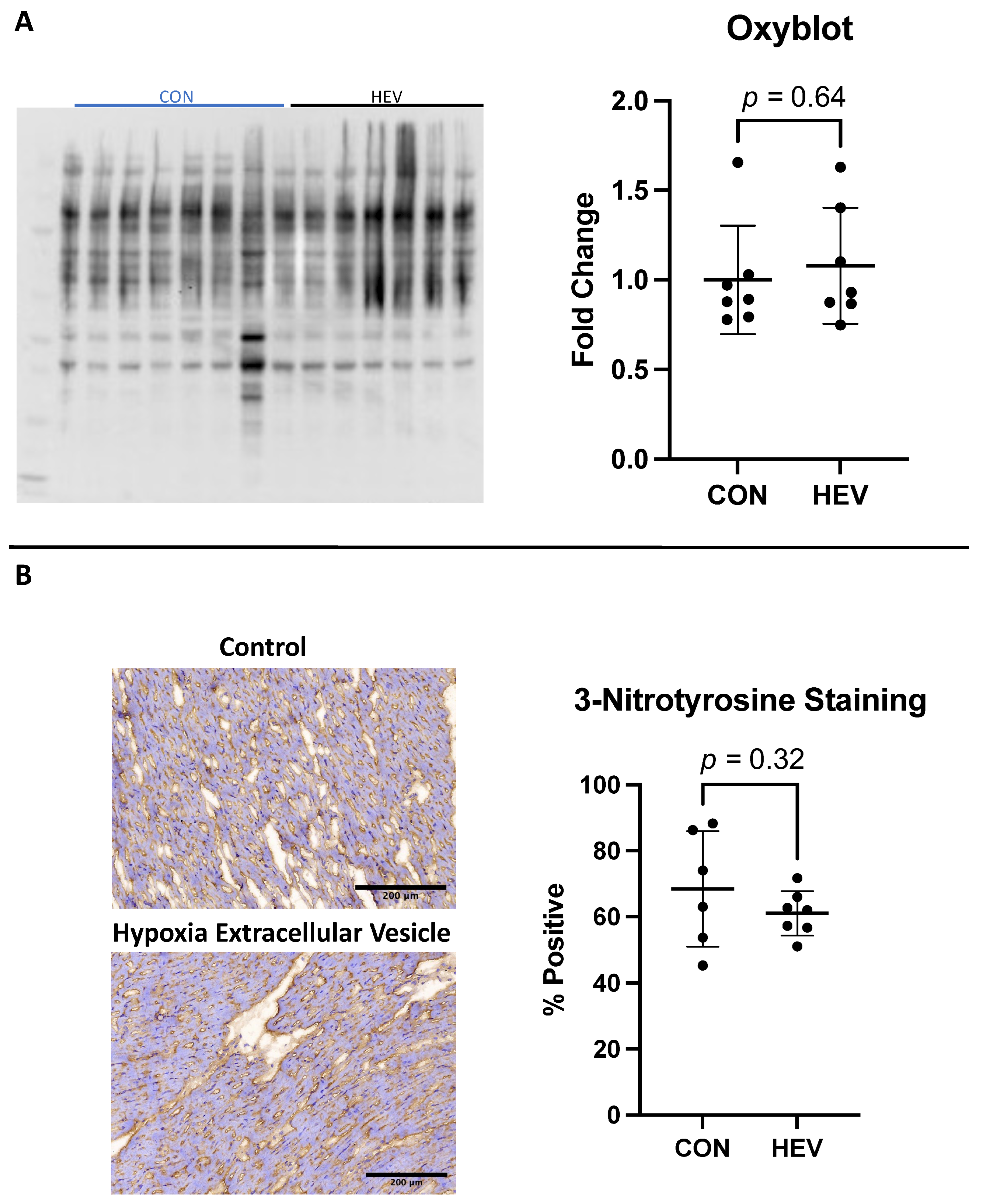 Bioengineering 11 00125 g005