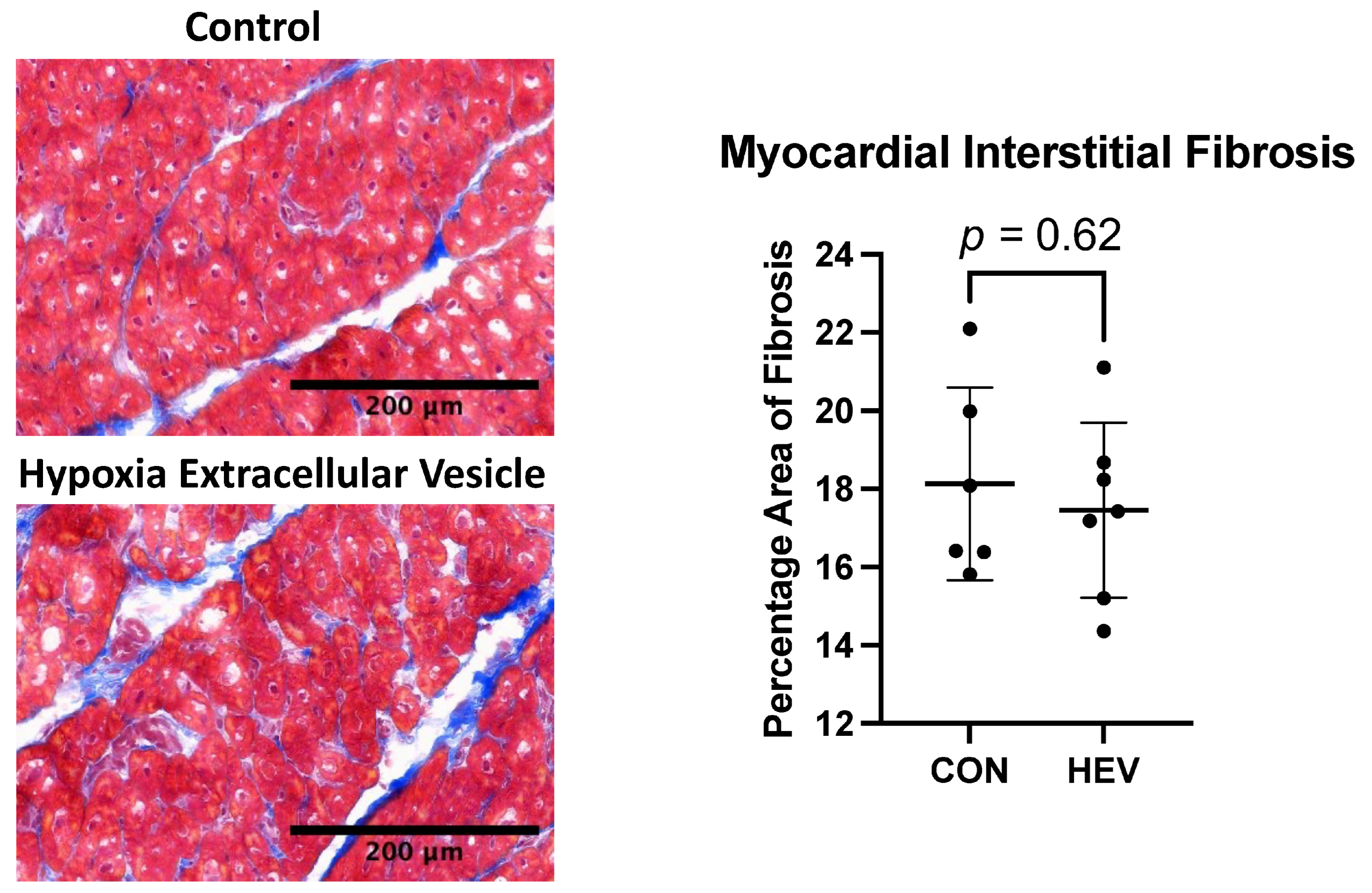 Bioengineering 11 00125 g006