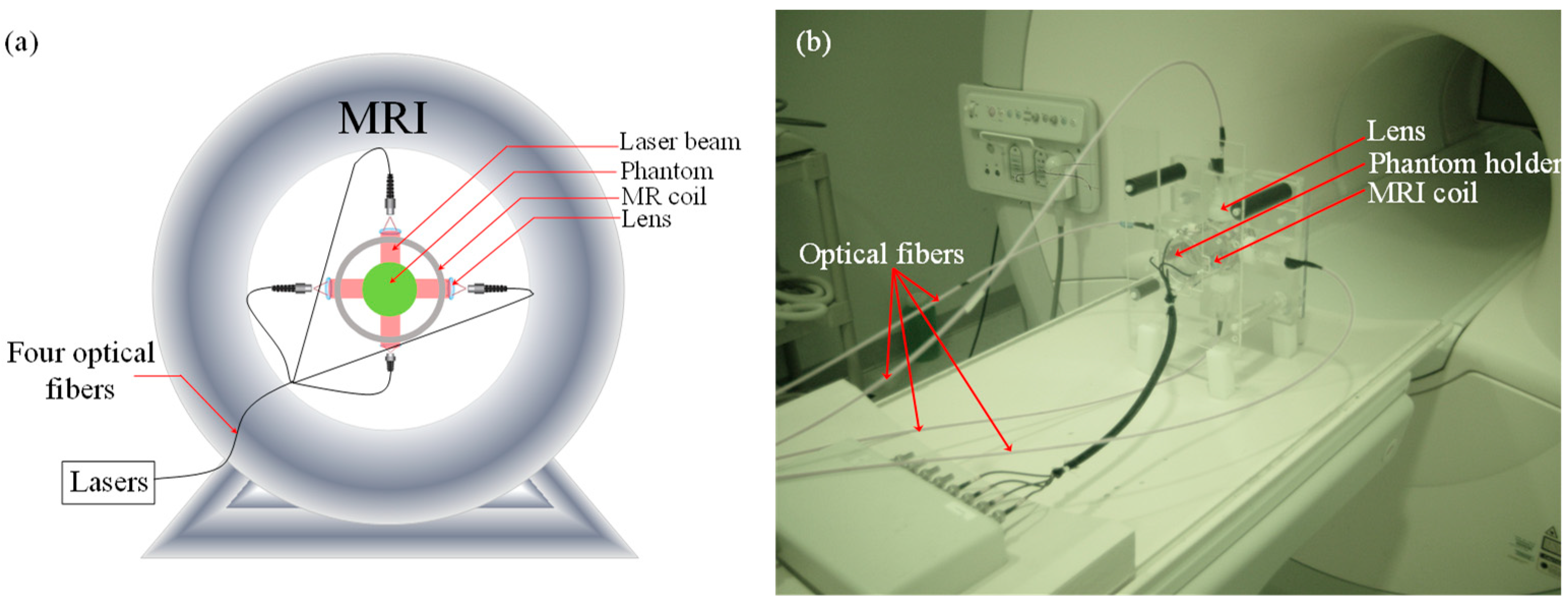 Bioengineering 11 00126 g001