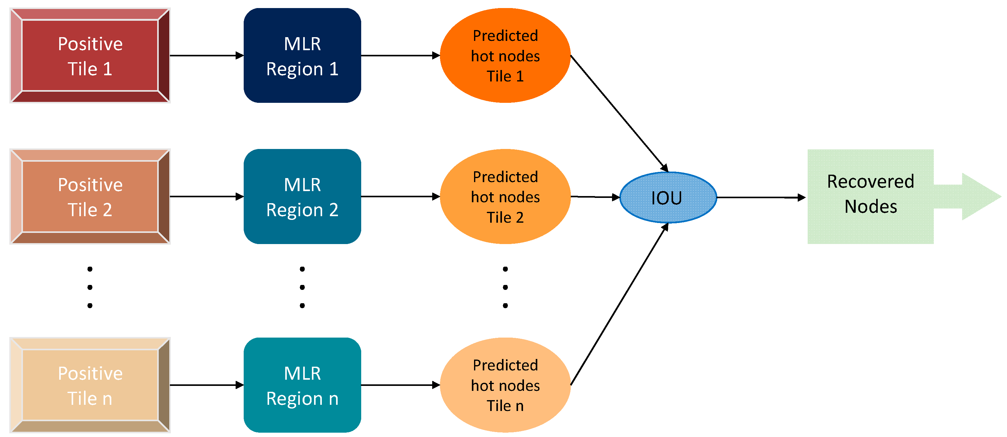 Bioengineering 11 00126 g004