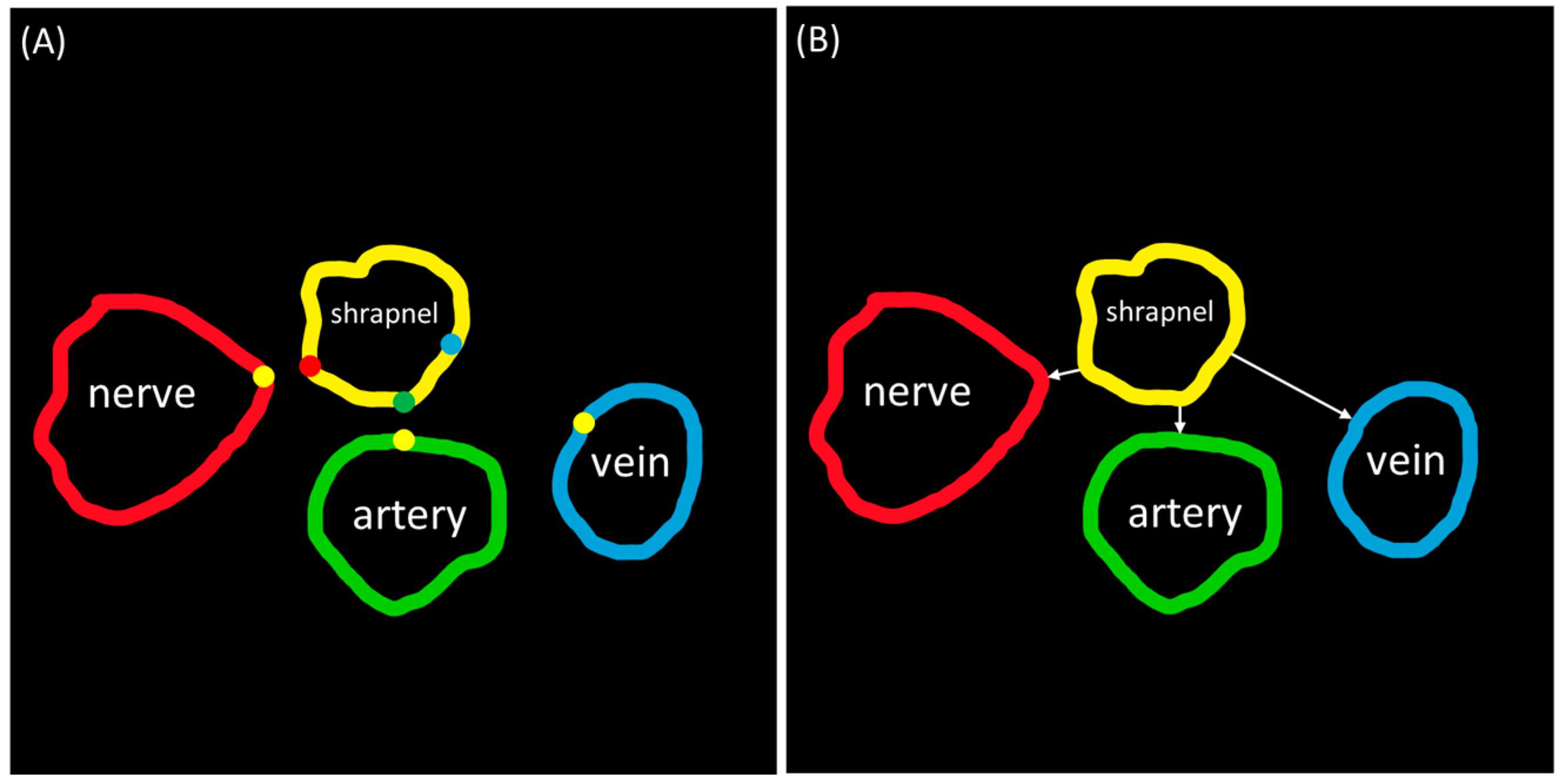 Bioengineering 11 00128 g002