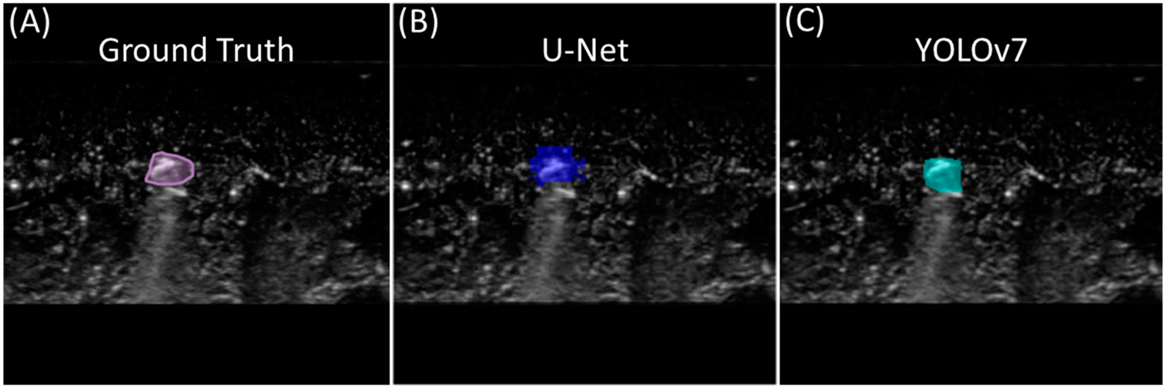 Bioengineering 11 00128 g003